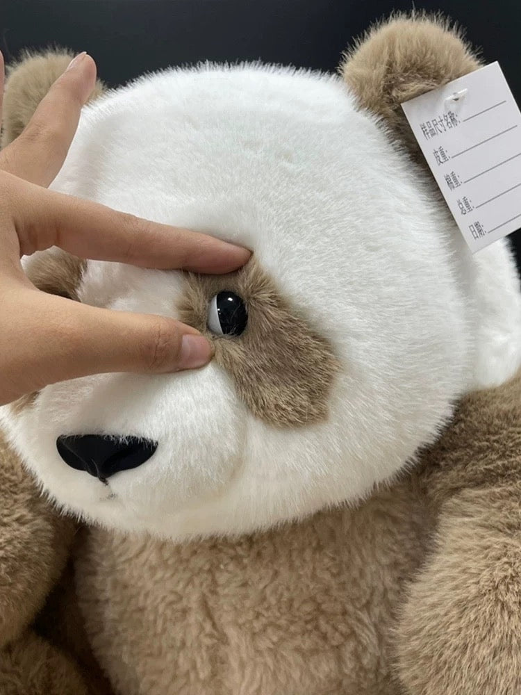 Brown panda🐻❄️🐻