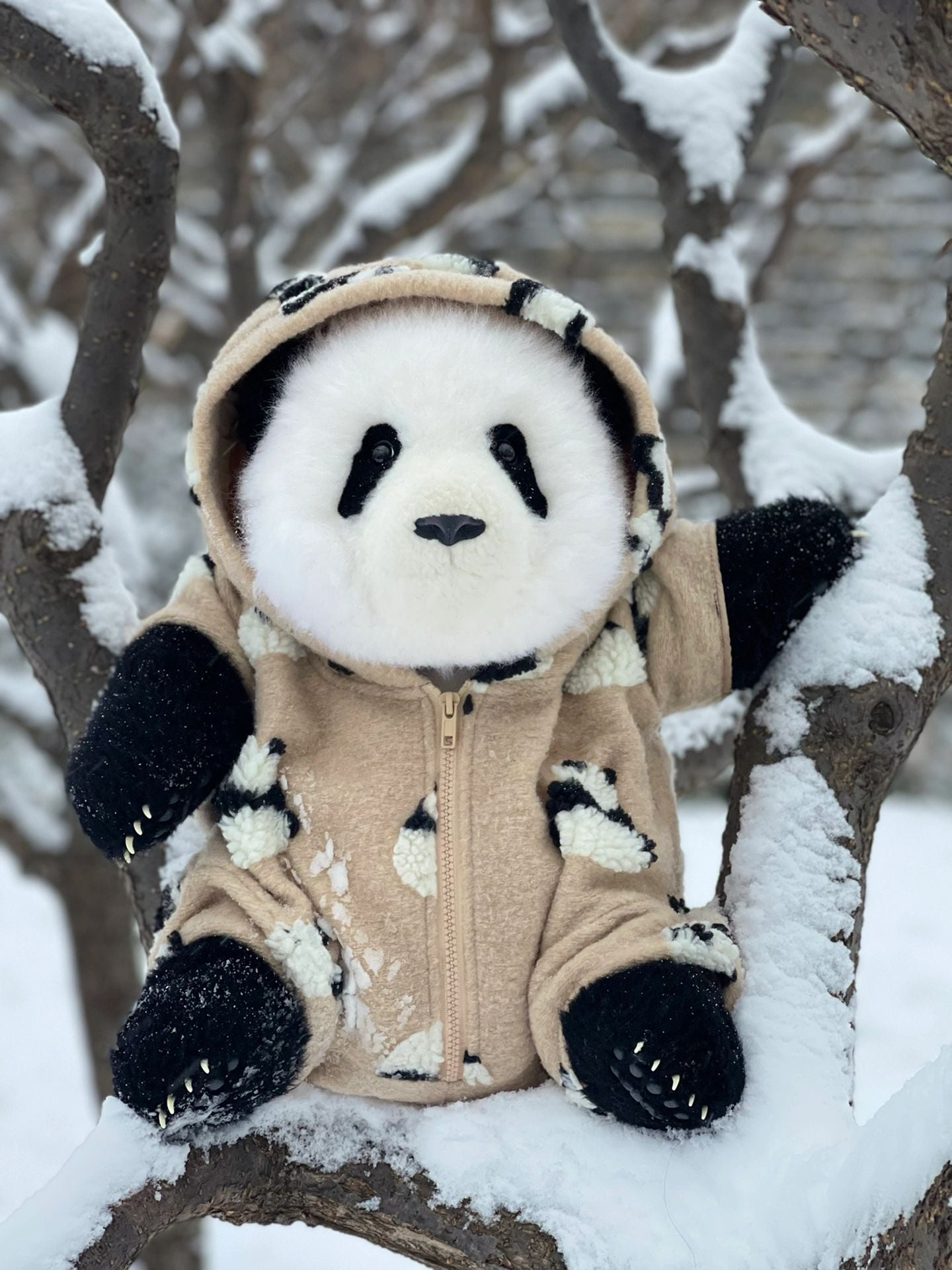 Realistic panda🐼