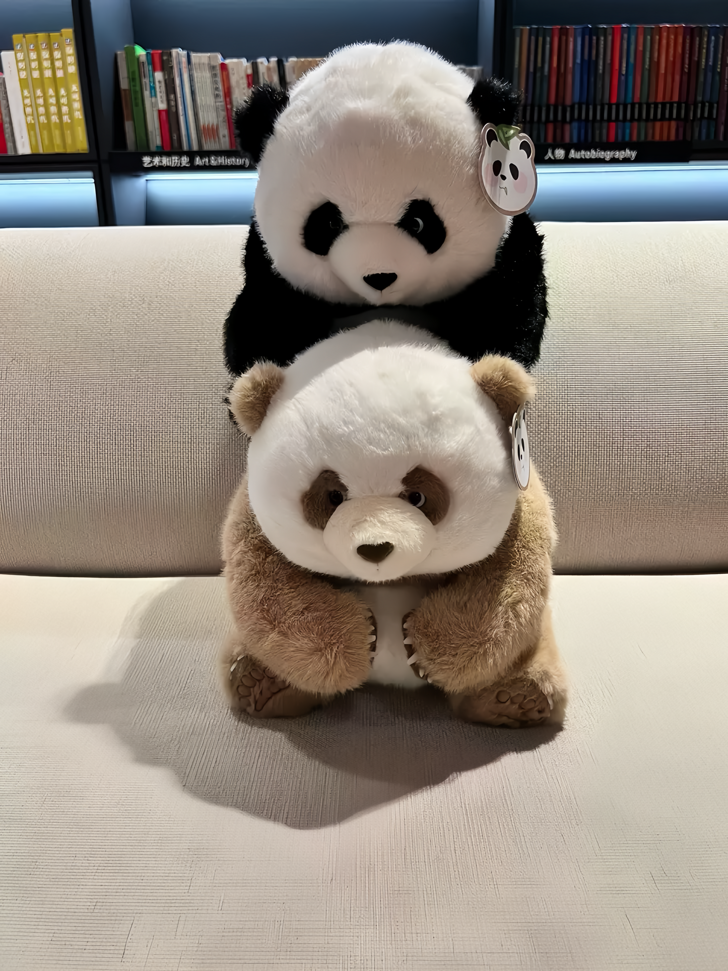 ๐Panda ๐ผ
