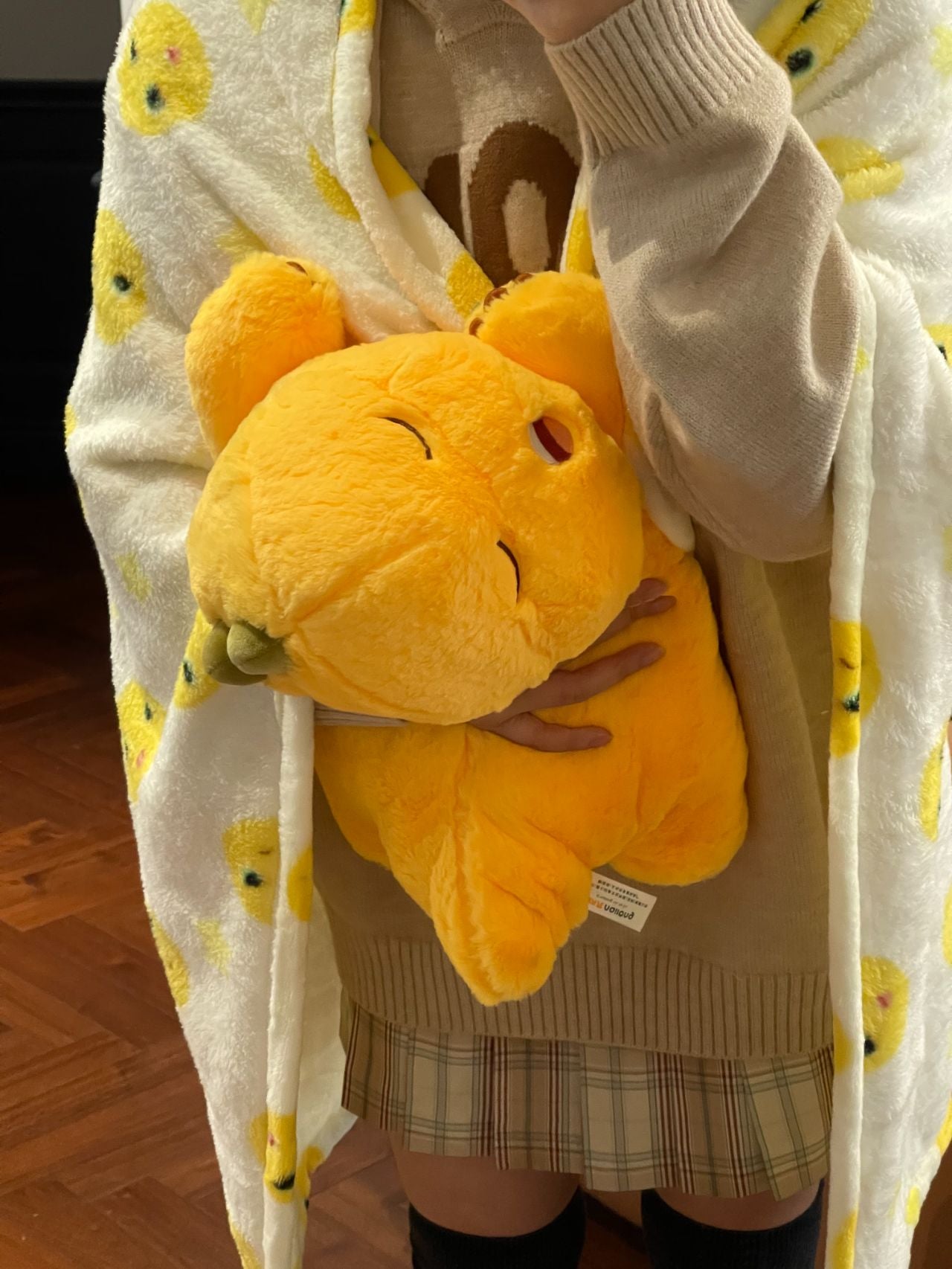 Yellow dinosaur doll with blanket ๐