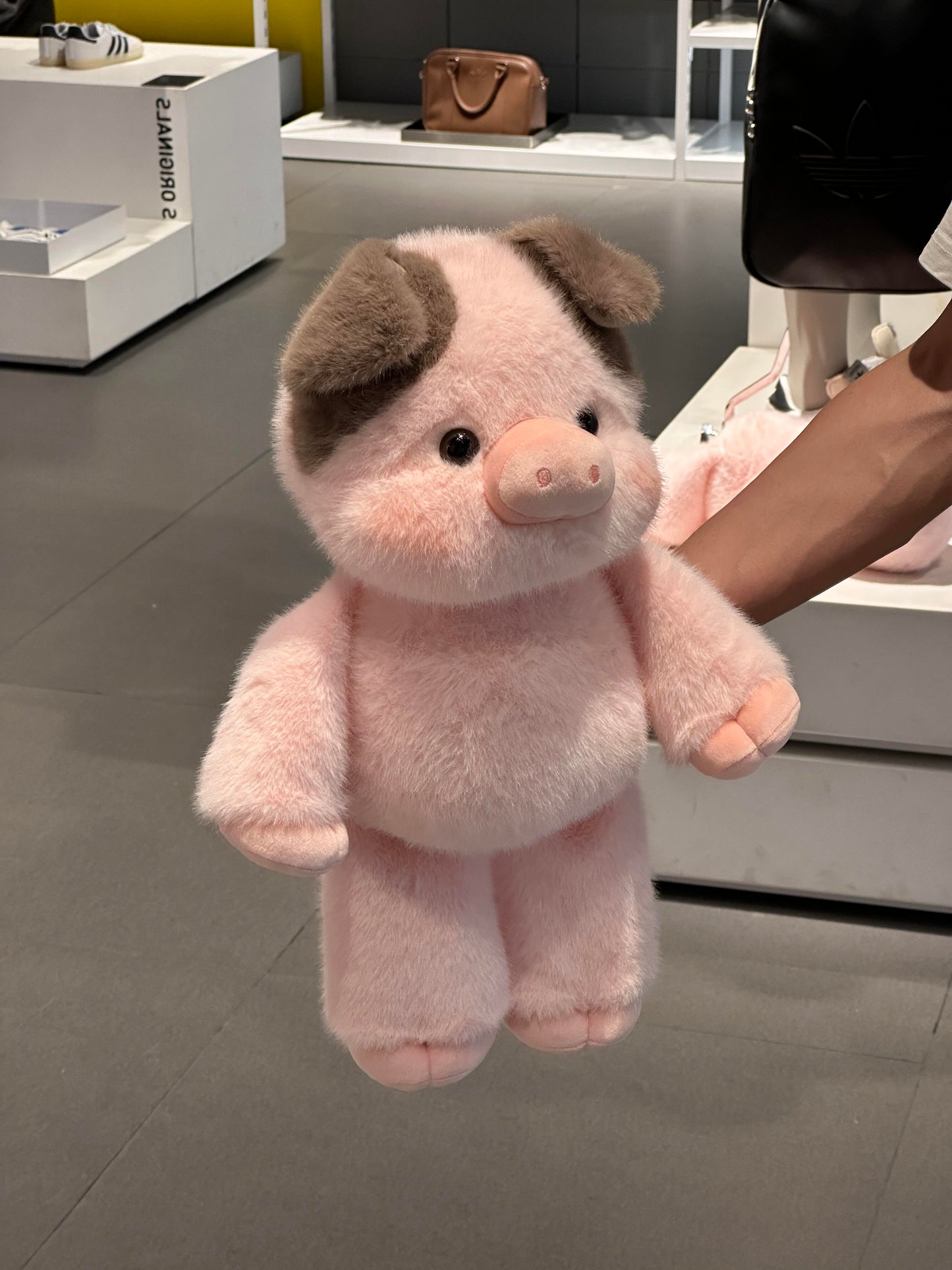 🐷🐽Pigpy 🐷