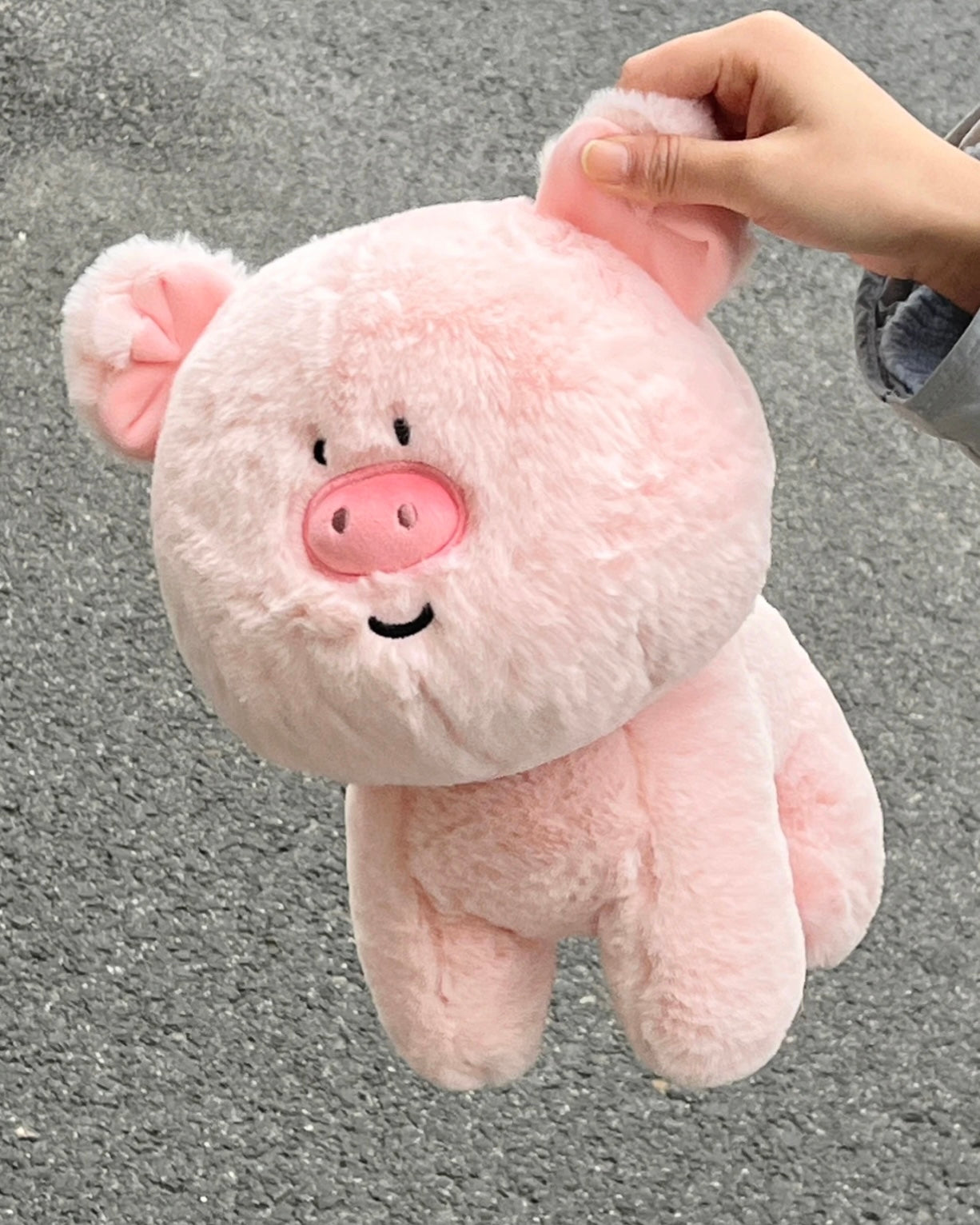 Pig π·π½