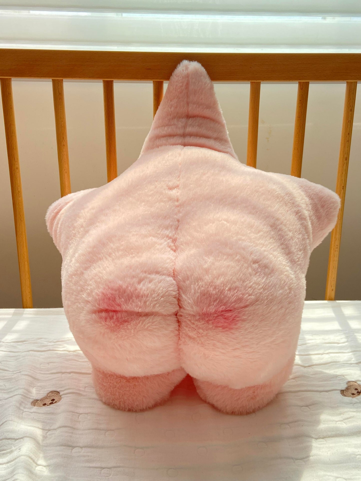 Starfish โญ๏ธ๐