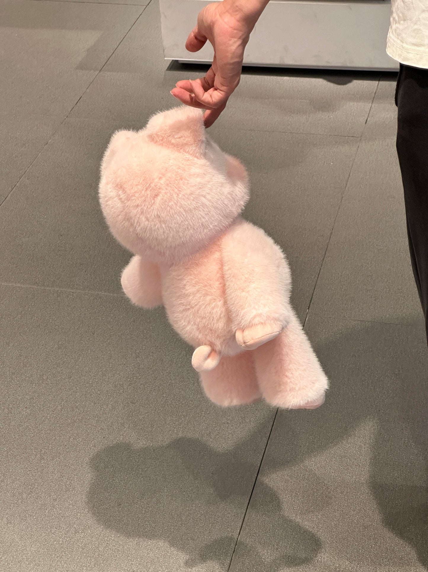 🐷🐽Pigpy 🐷