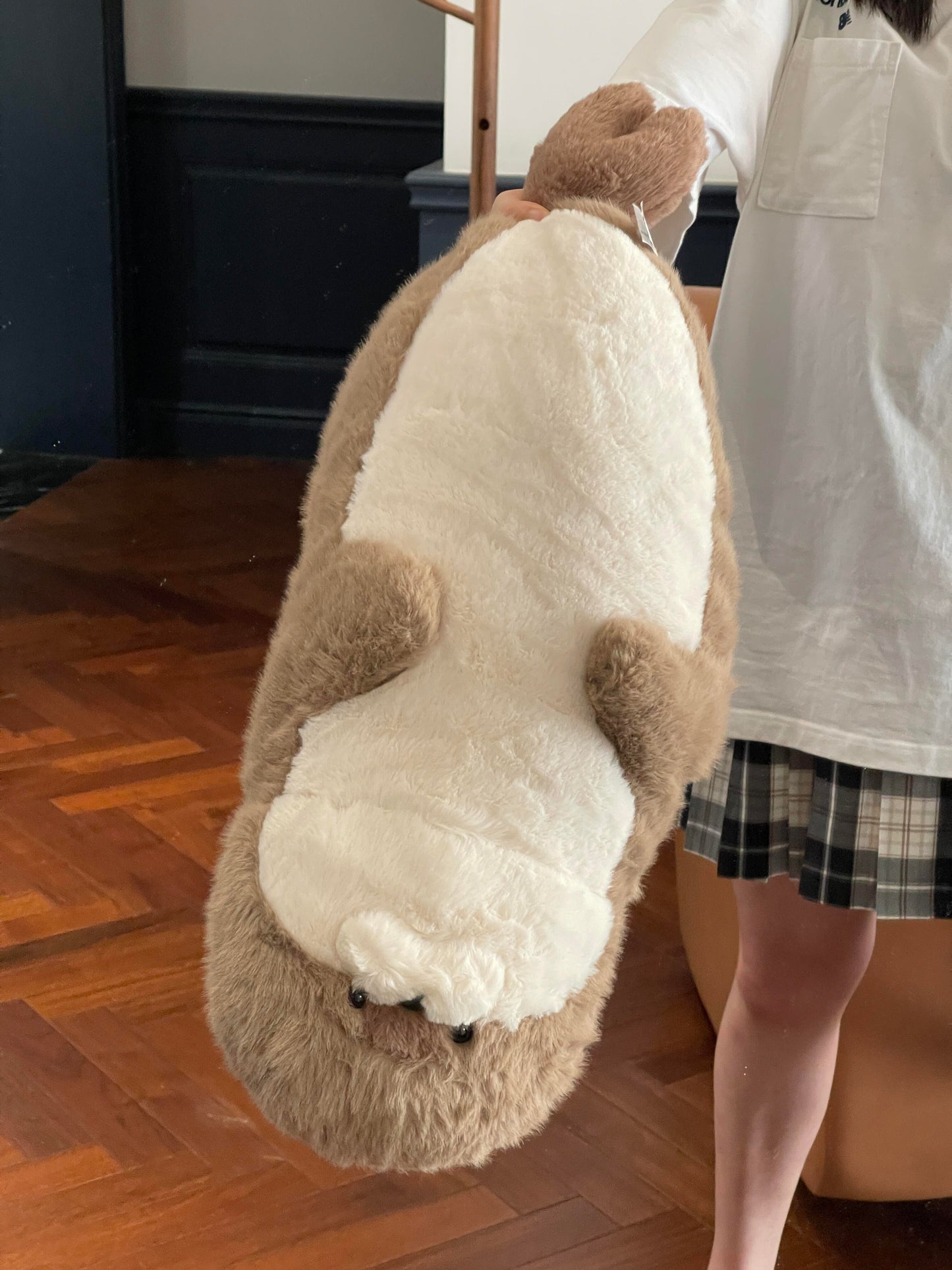 Seal π¦π©΅π€π€