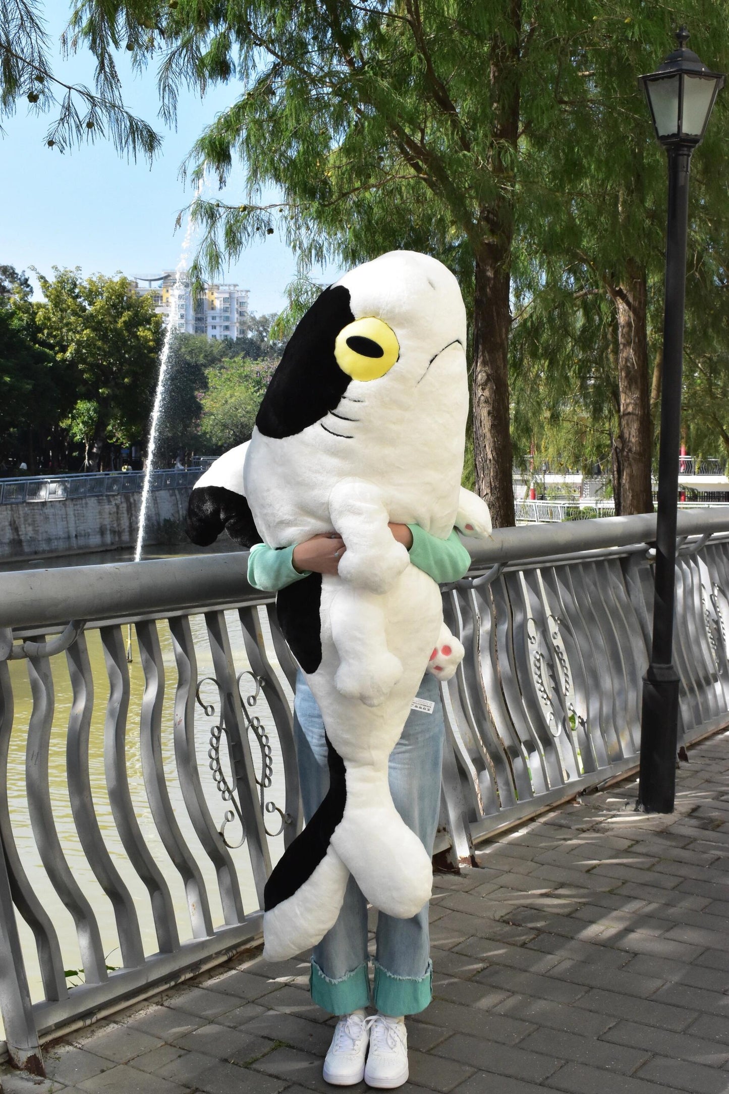 Shark ๐ฆ