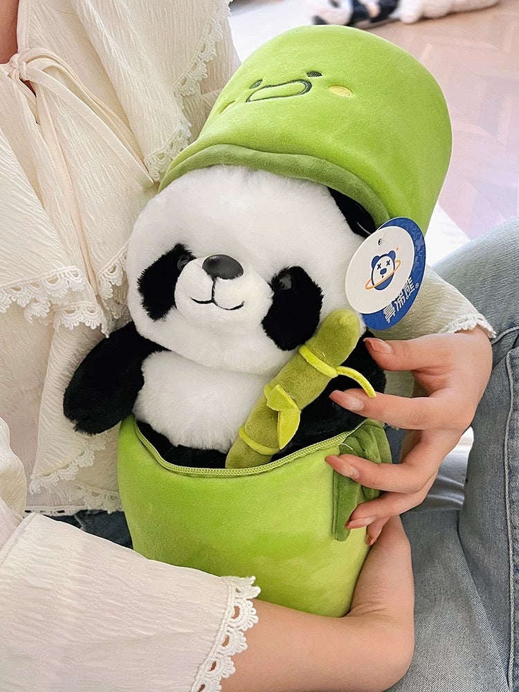 Panda in the bamboo tree๐๐ผ