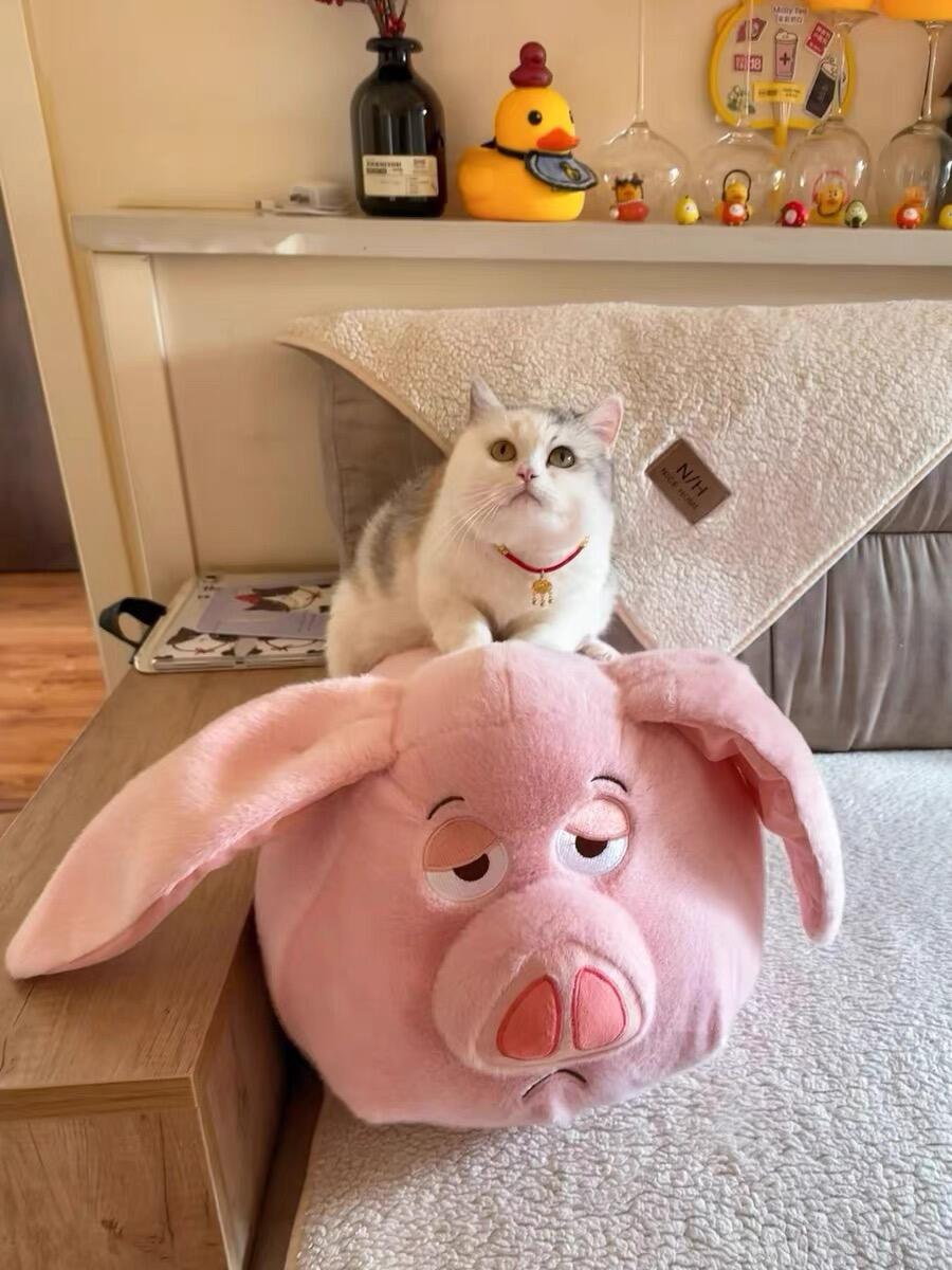 Flying pig from the animation Nezha 2π·