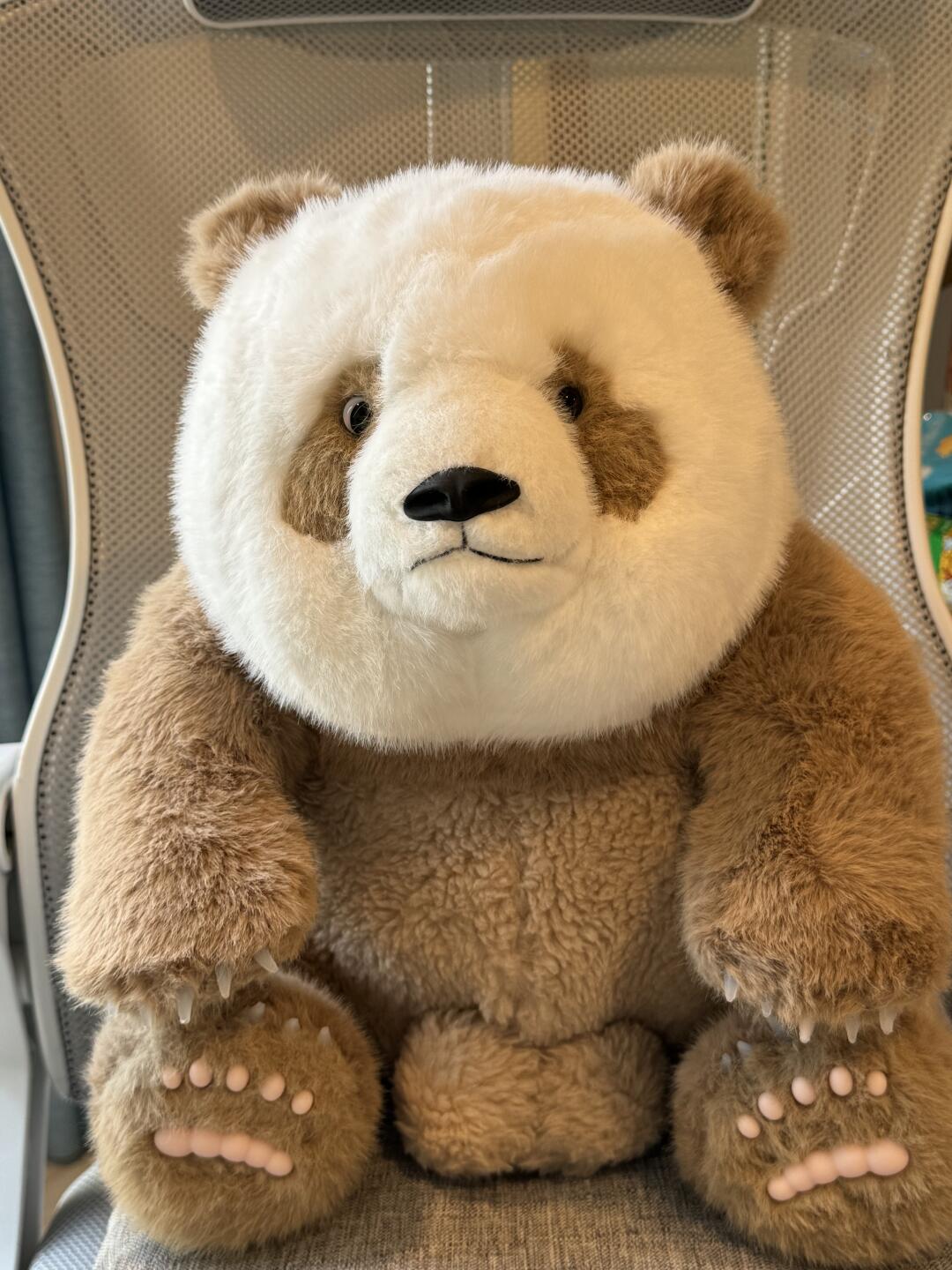 Brown panda🐻❄️🐻