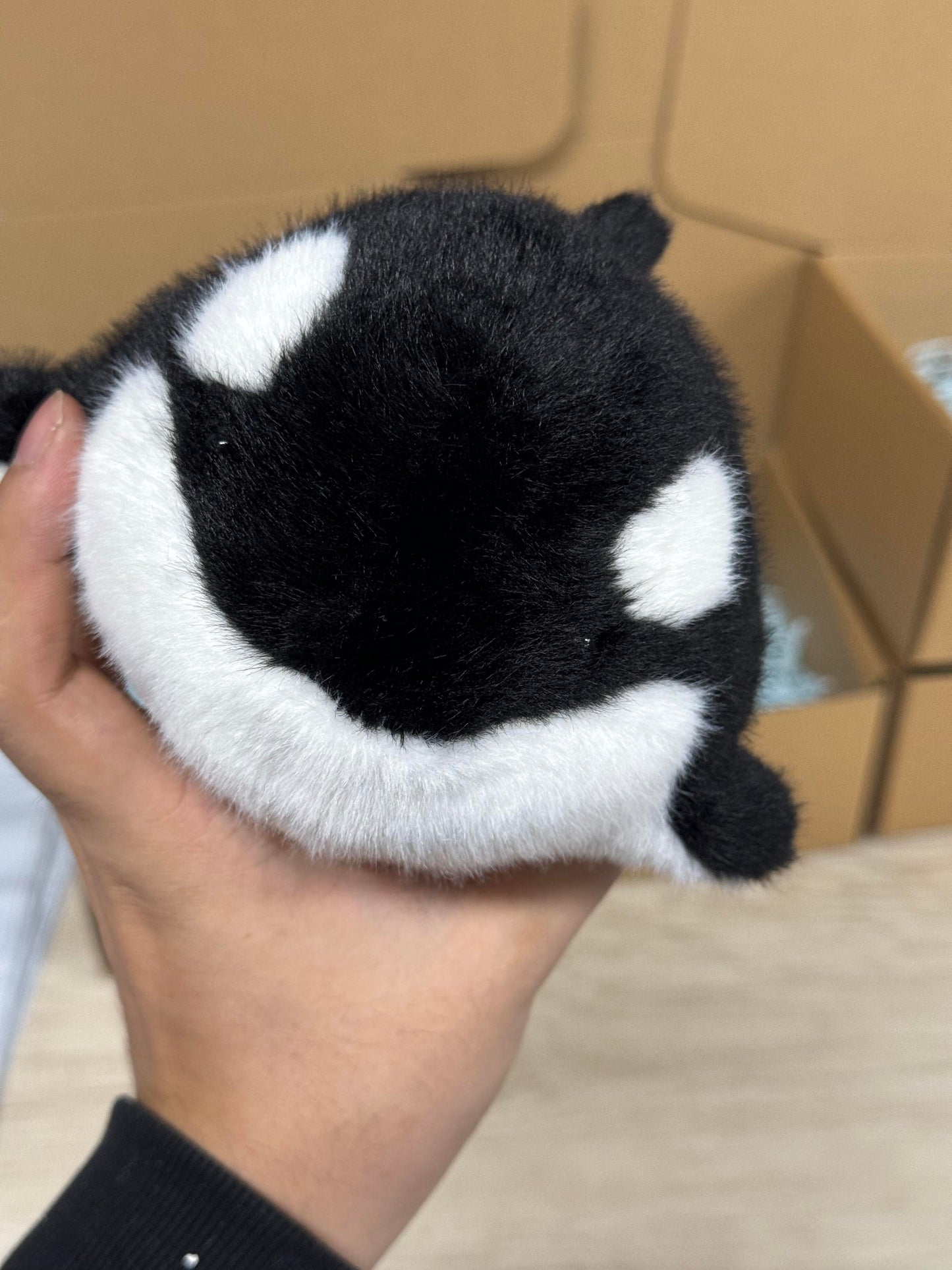 Orca