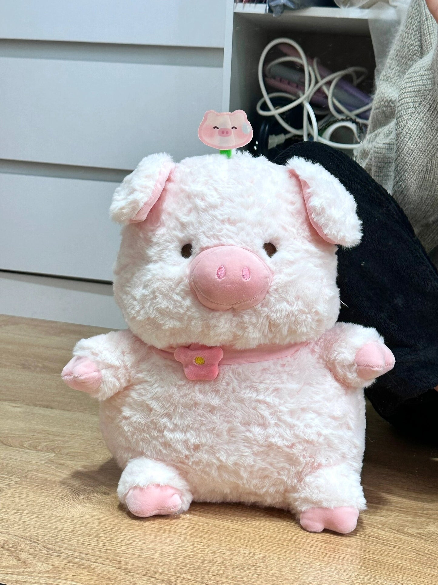 Pig with collar π