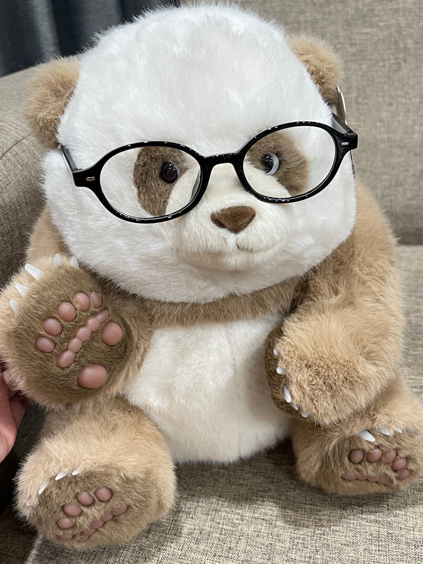 🤎Brown panda 🐼