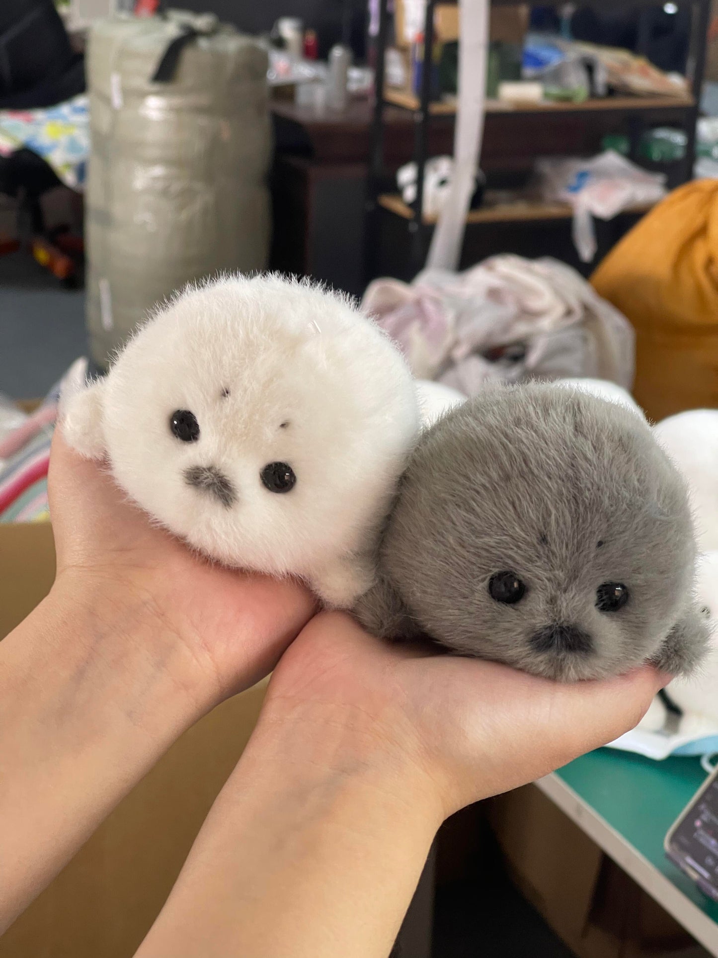 Mini seals 🦭🩶🤍
