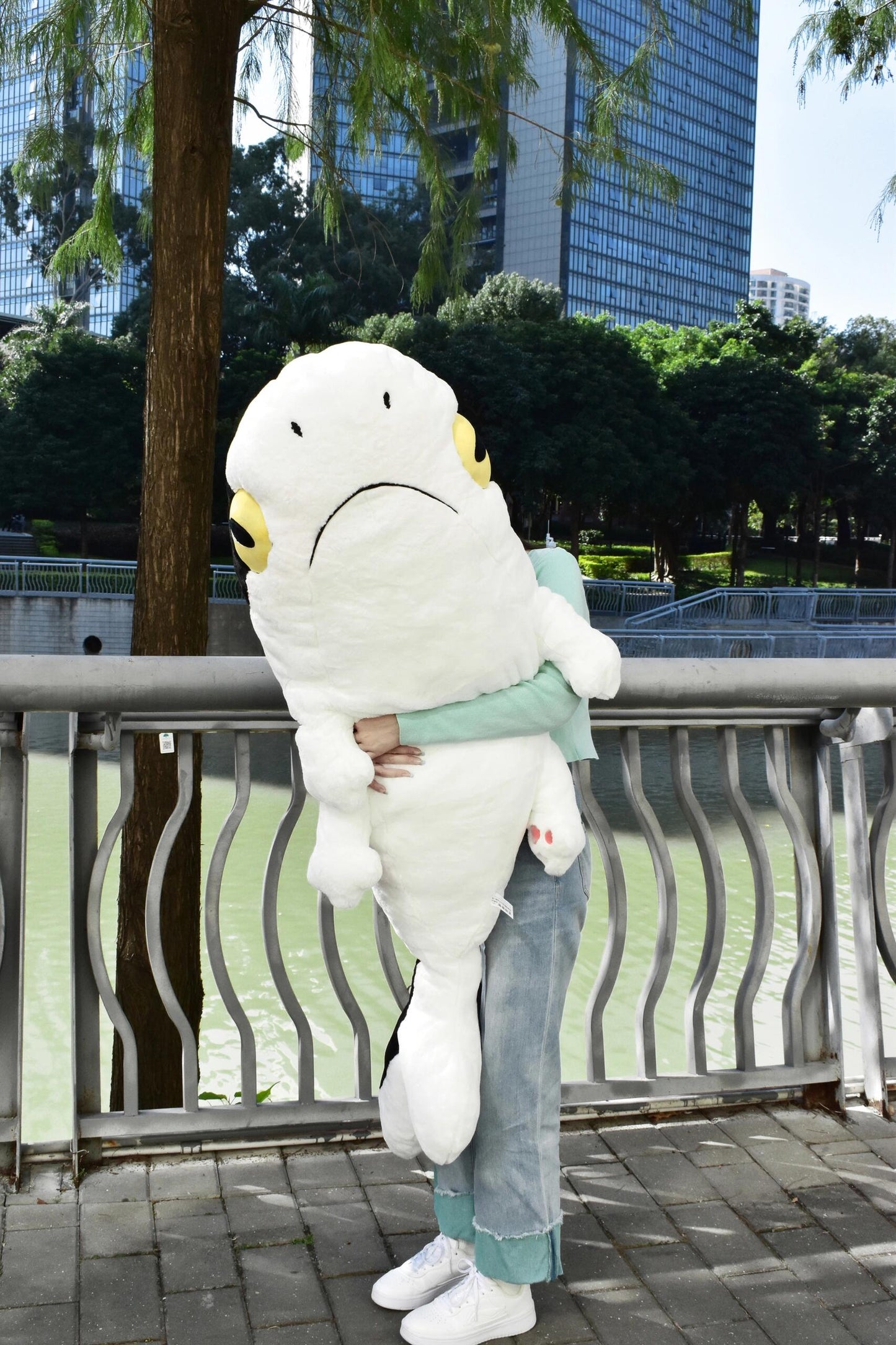 Shark ๐ฆ