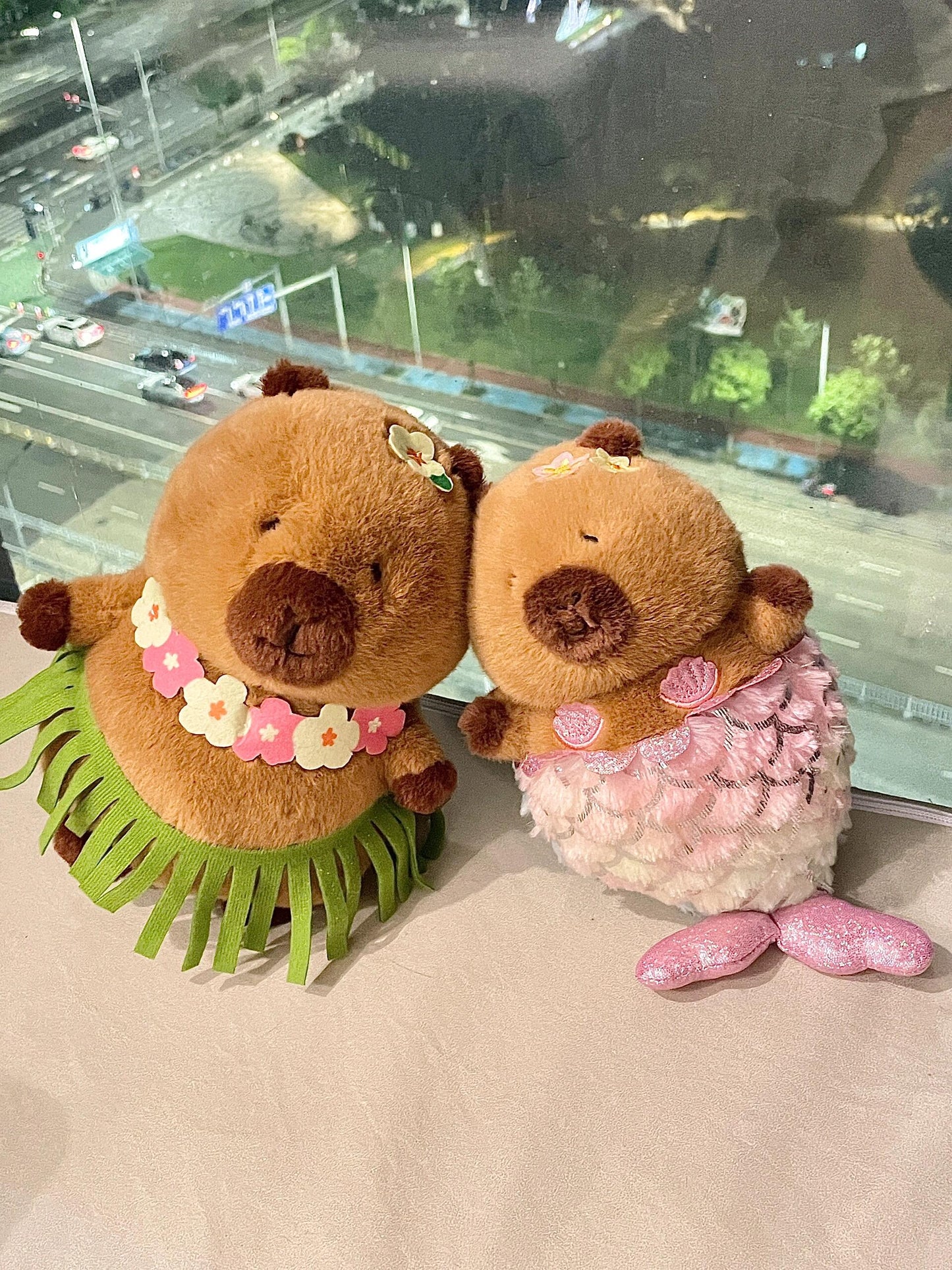 Capybara at the sea๐๐ด