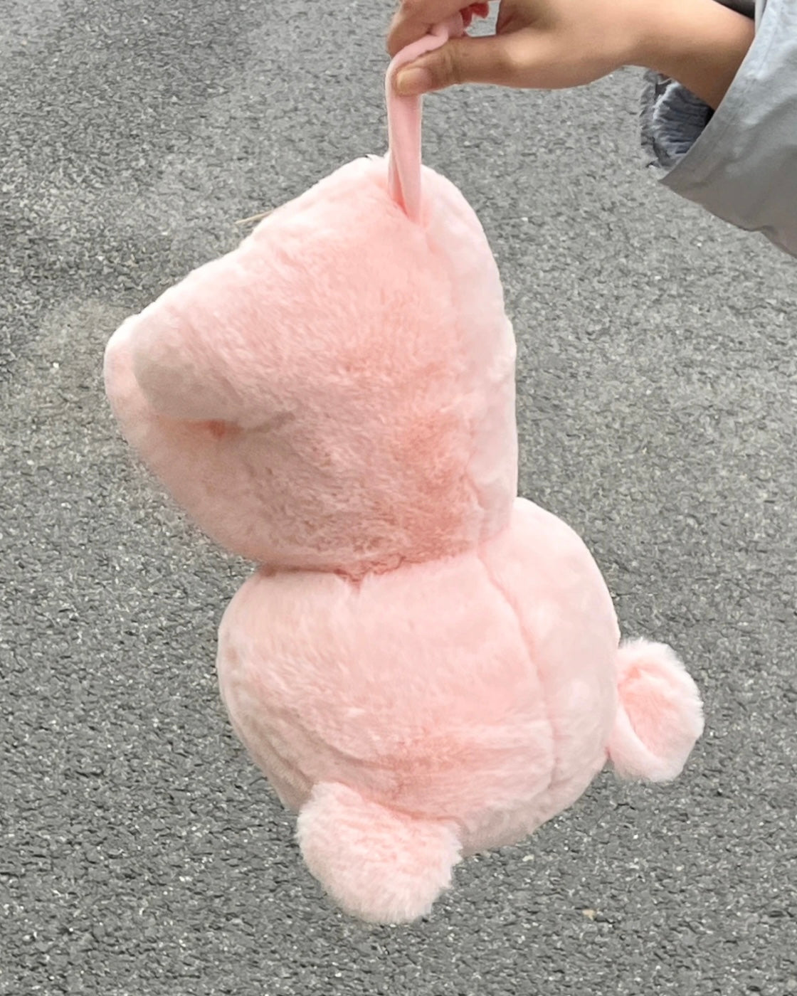 Pig π·π½