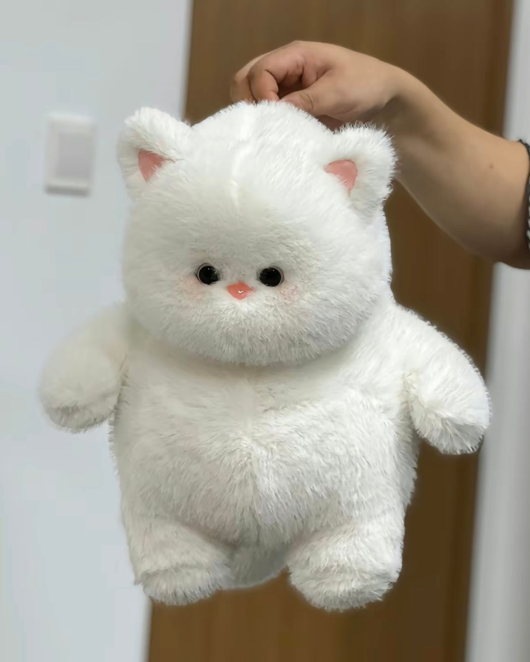 Soft teddy bear🐻❄️