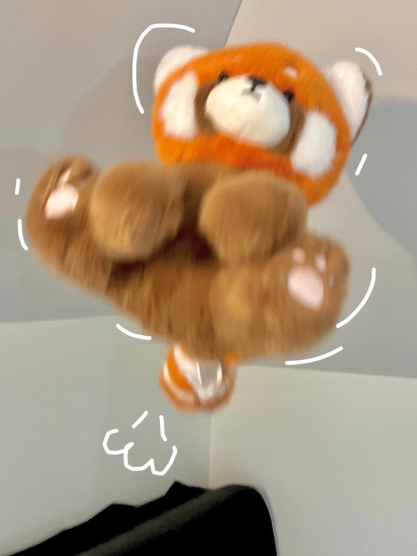 Red panda