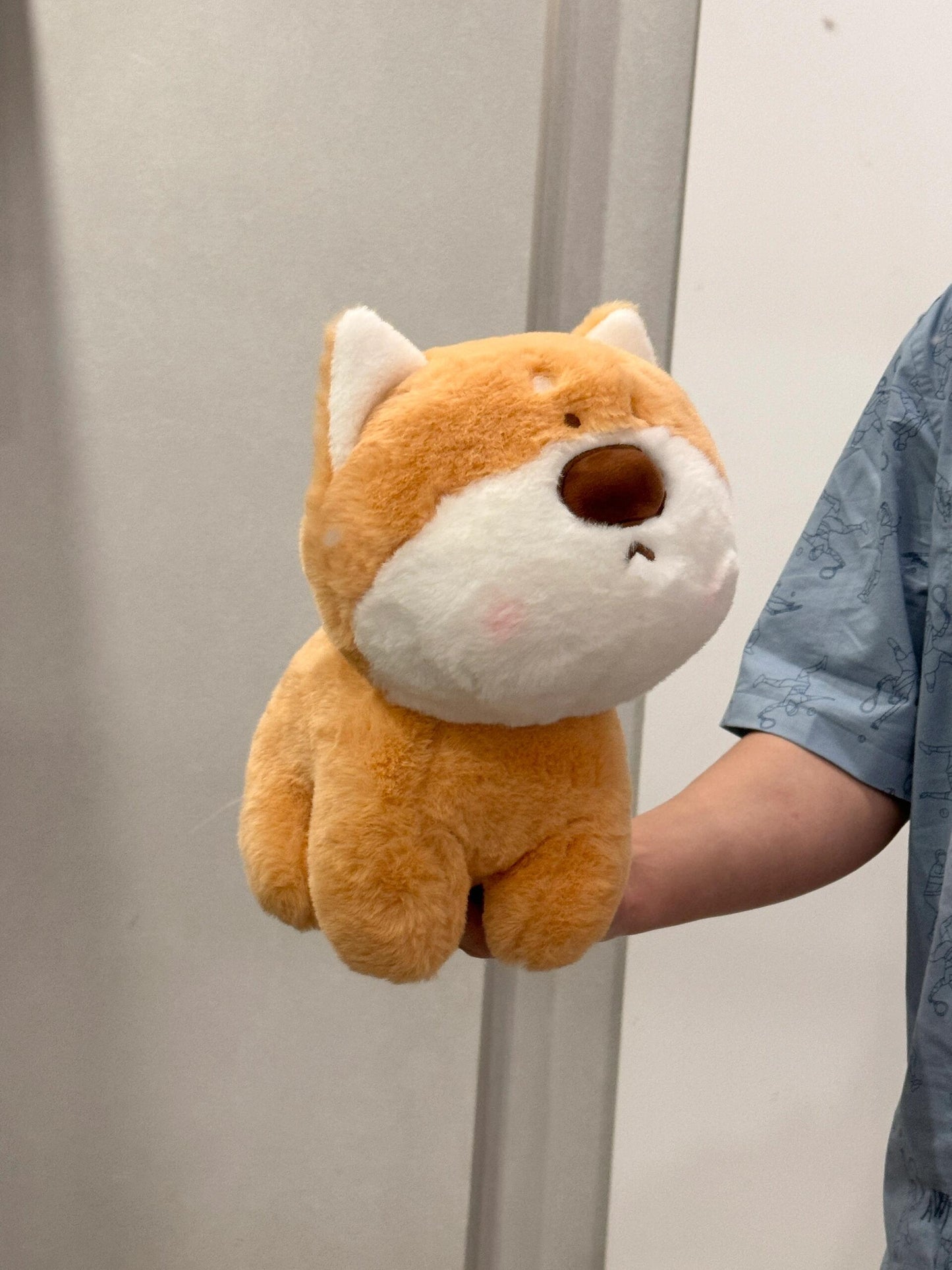 Shiba🧡