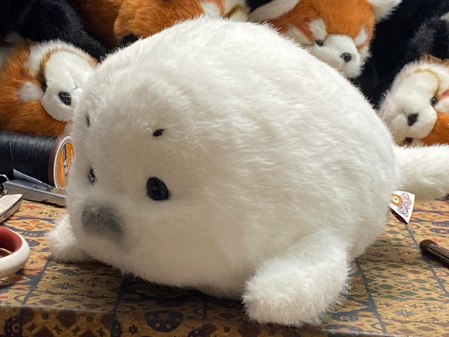 seals🦭