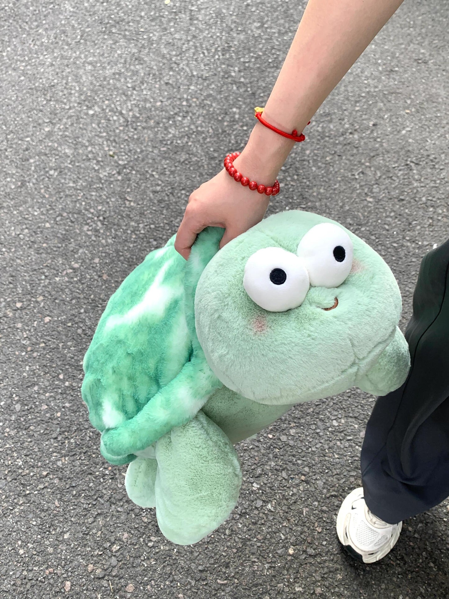 Turtle ๐ข