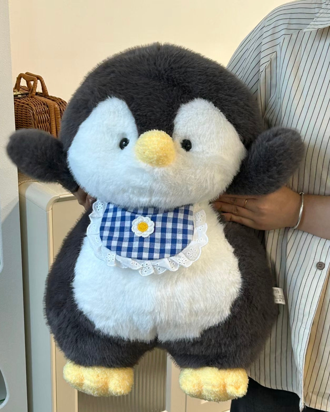 Penguin π§
