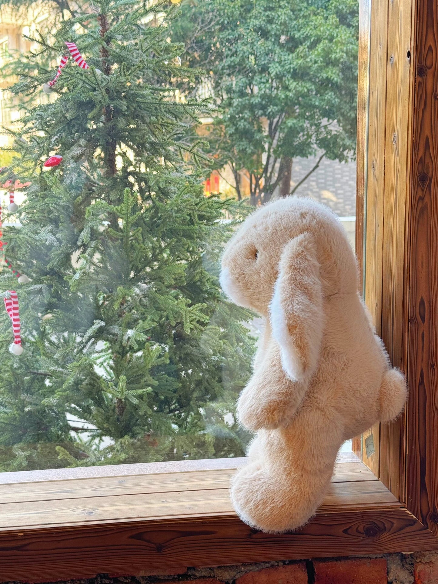 Bunny π°π
