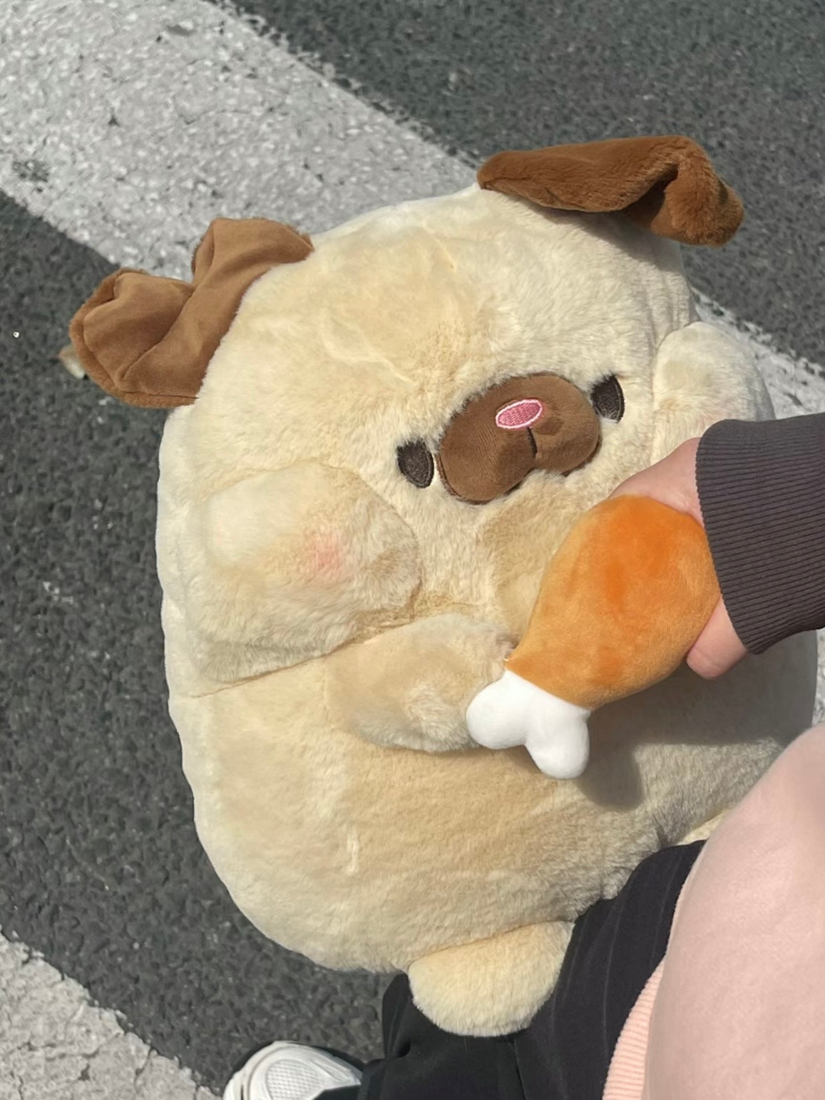 ๐ฝPig๐ฅฌ and ๐ถDog๐