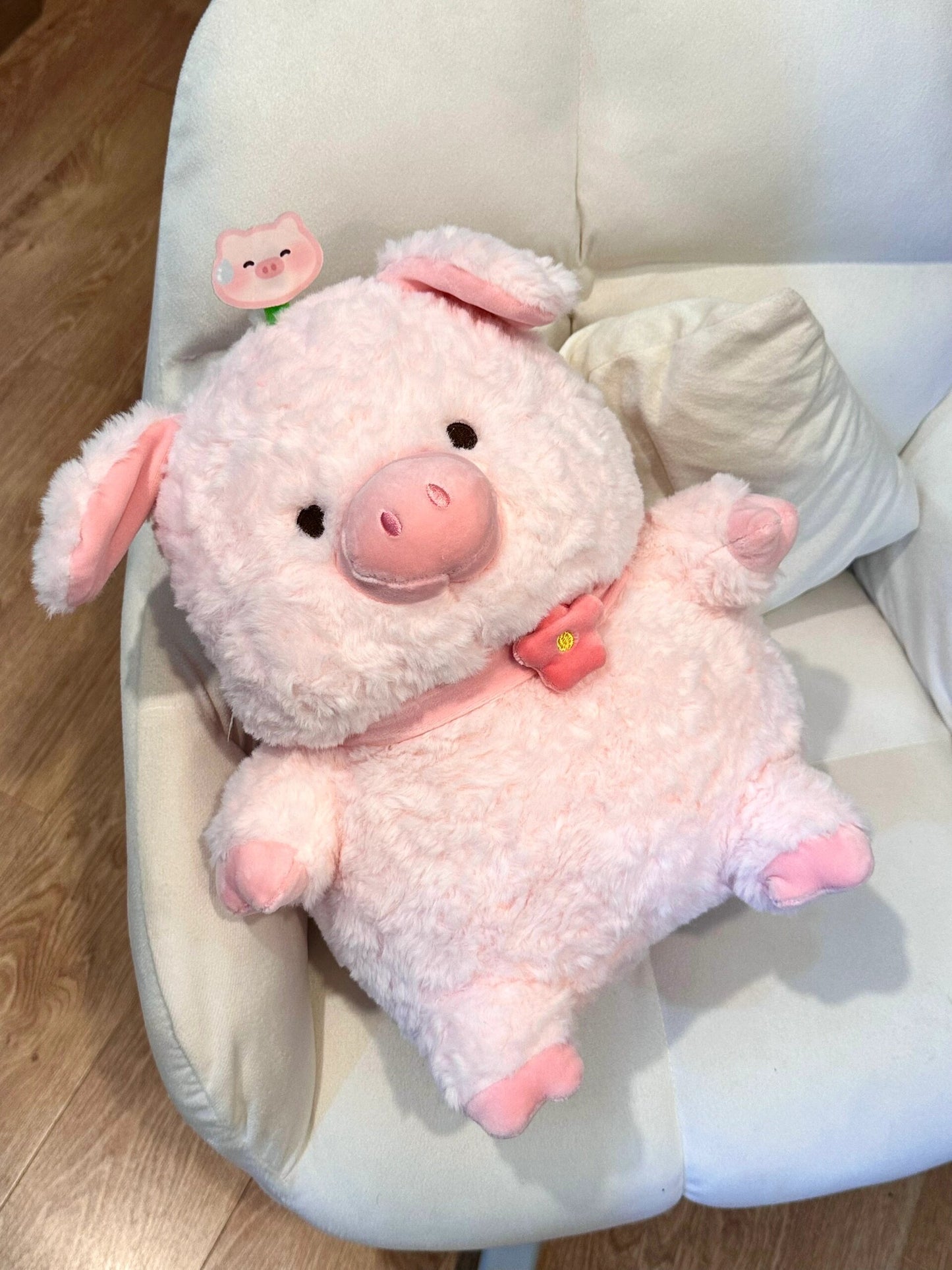 Pig with collar π