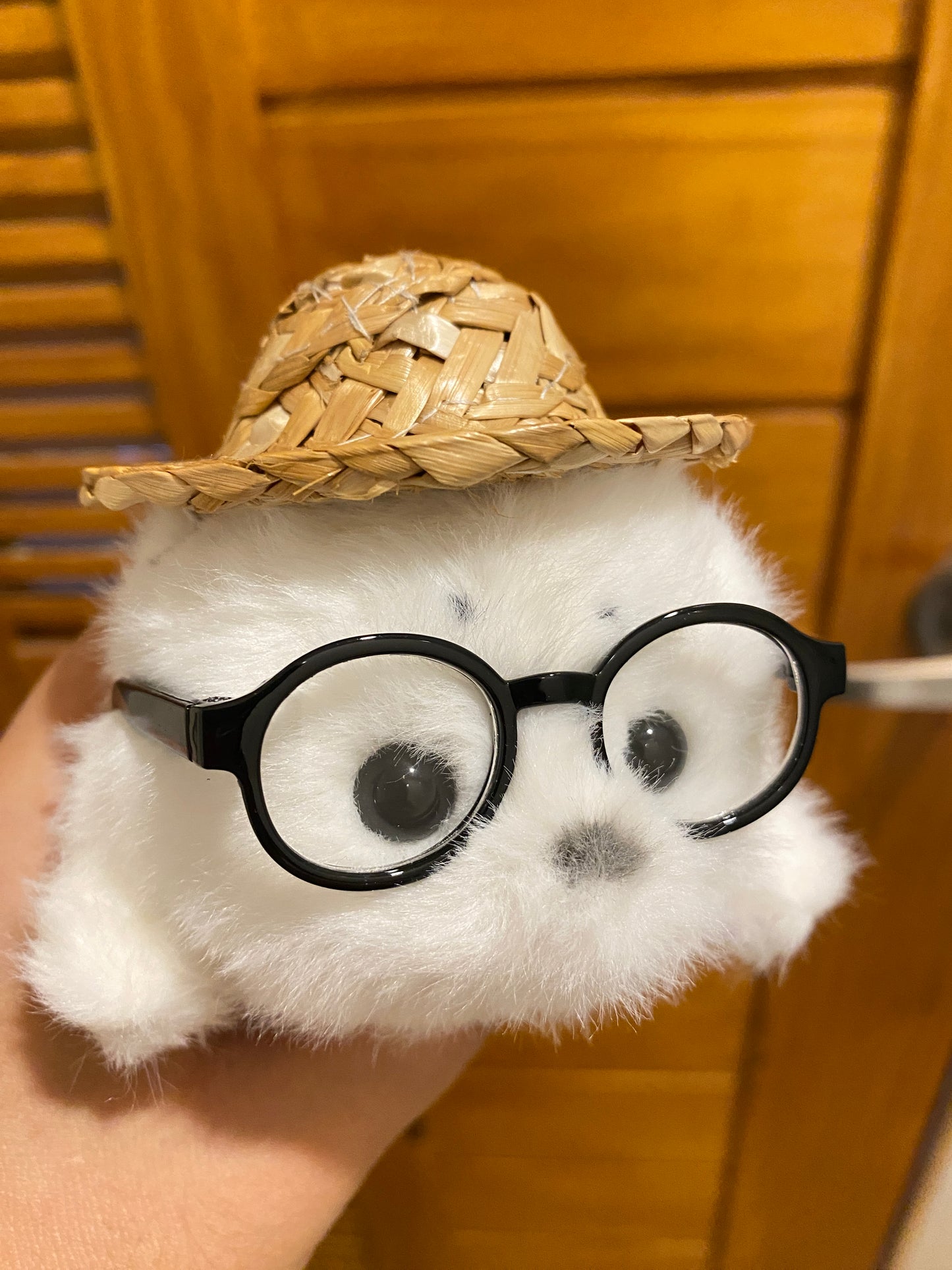 Mini seals 🦭🩶🤍