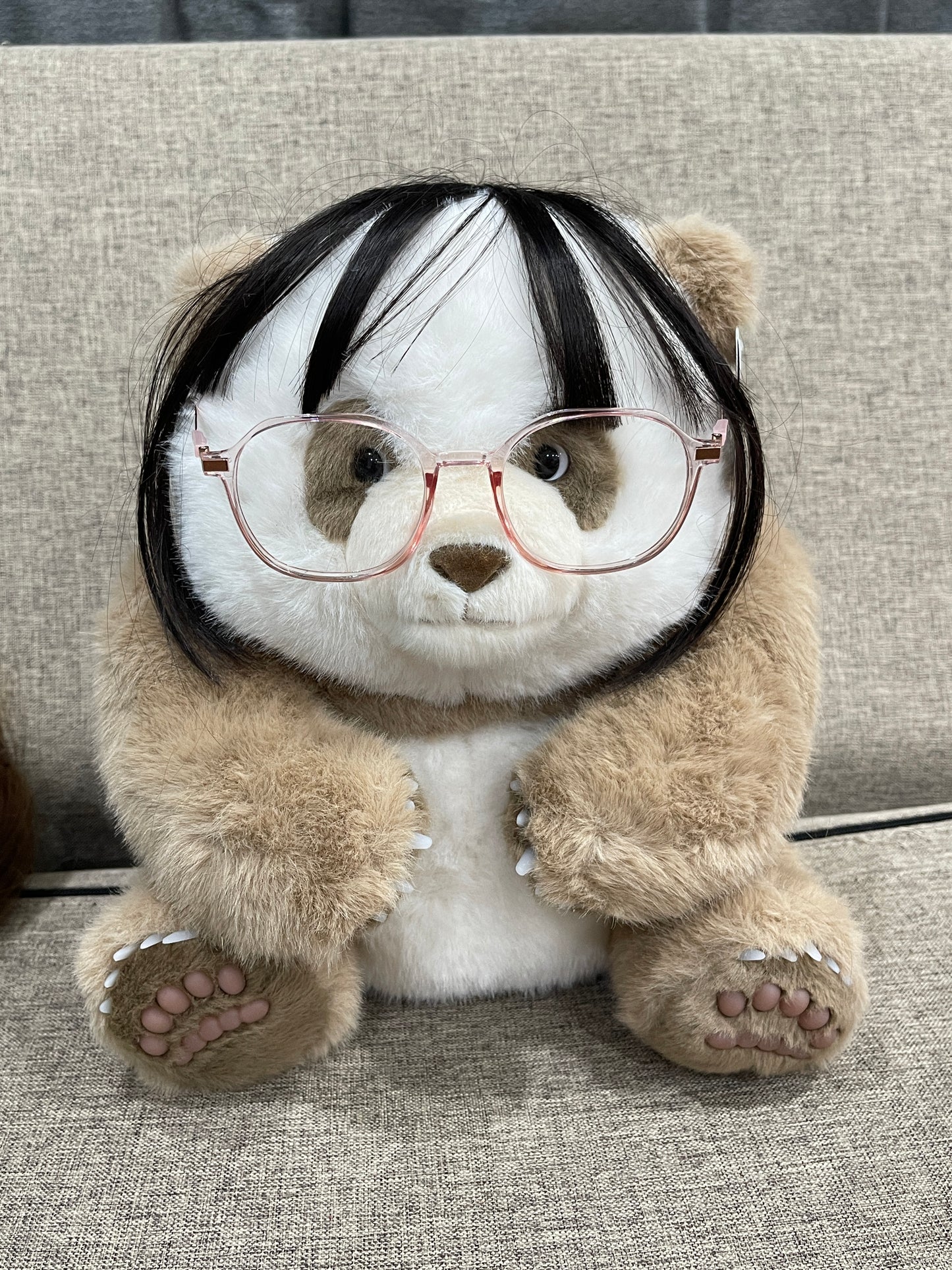 🤎Brown panda 🐼