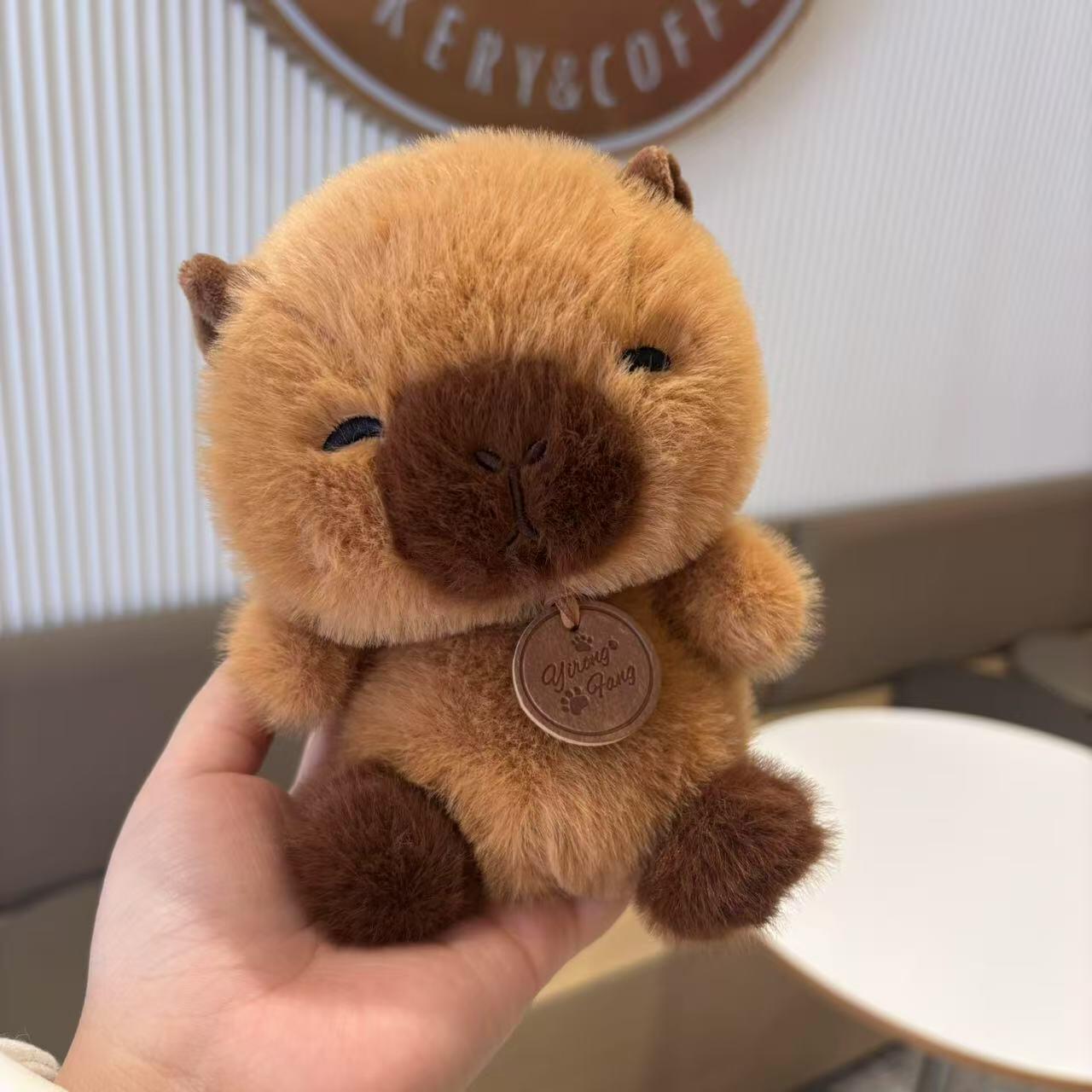 A collection of stuffed animals.π