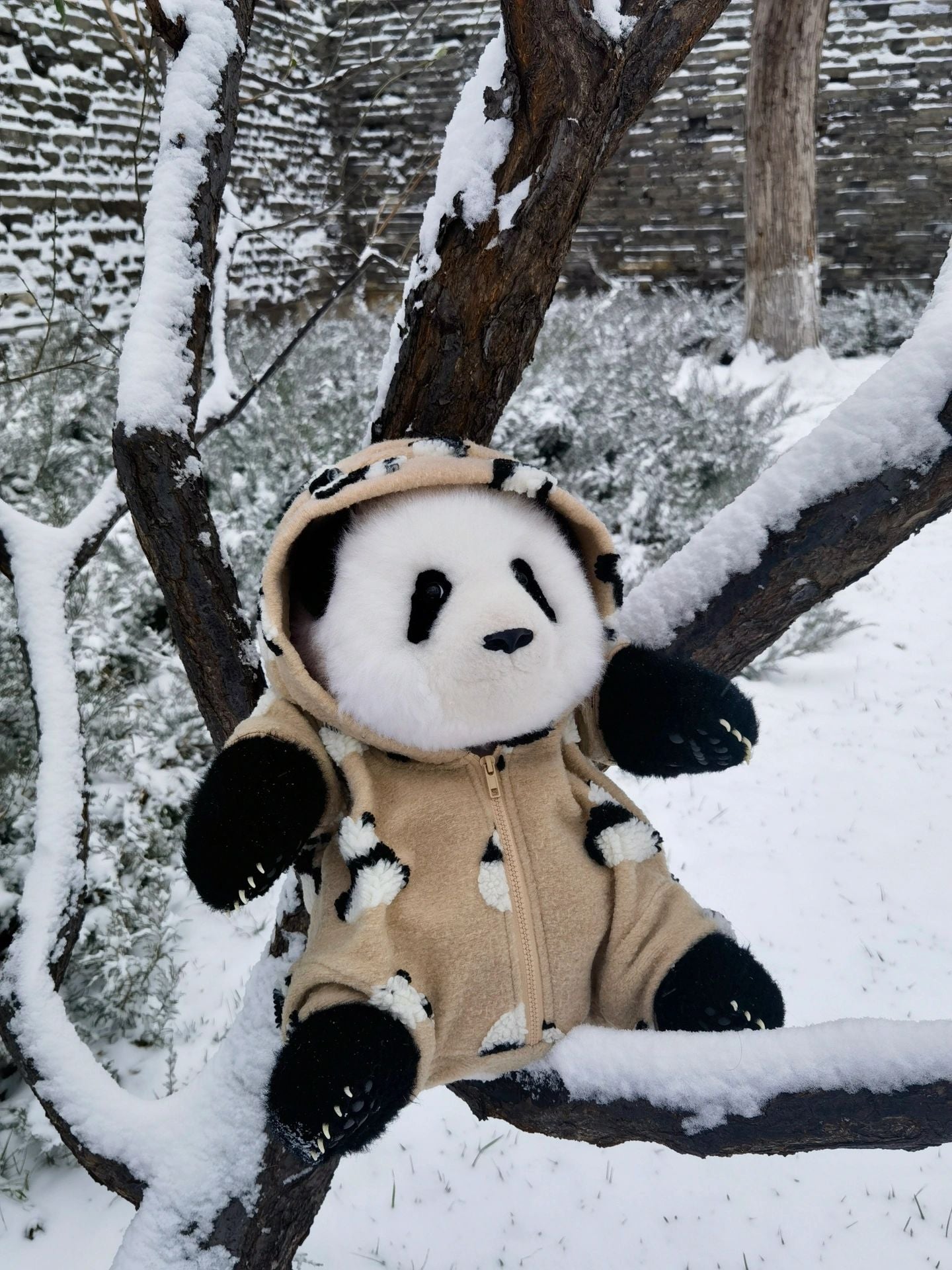 Realistic panda🐼