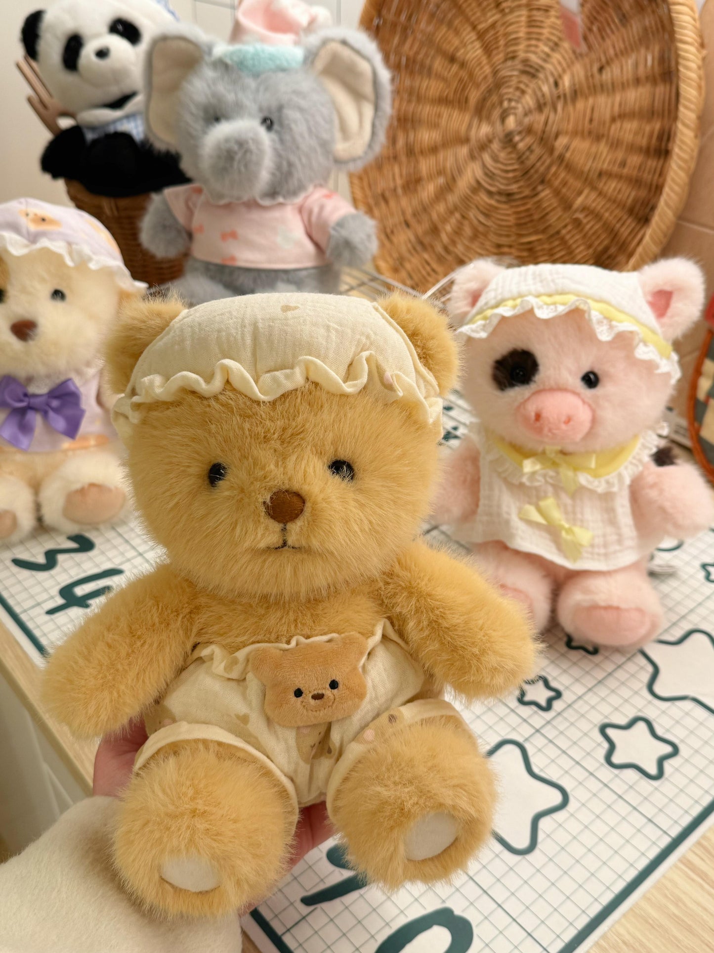 A collection of cute dolls