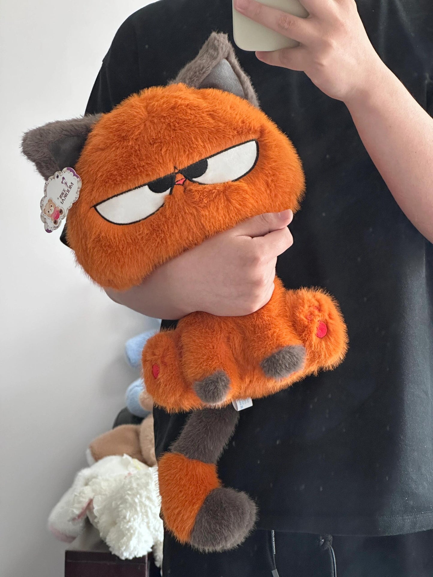 Angry Cat