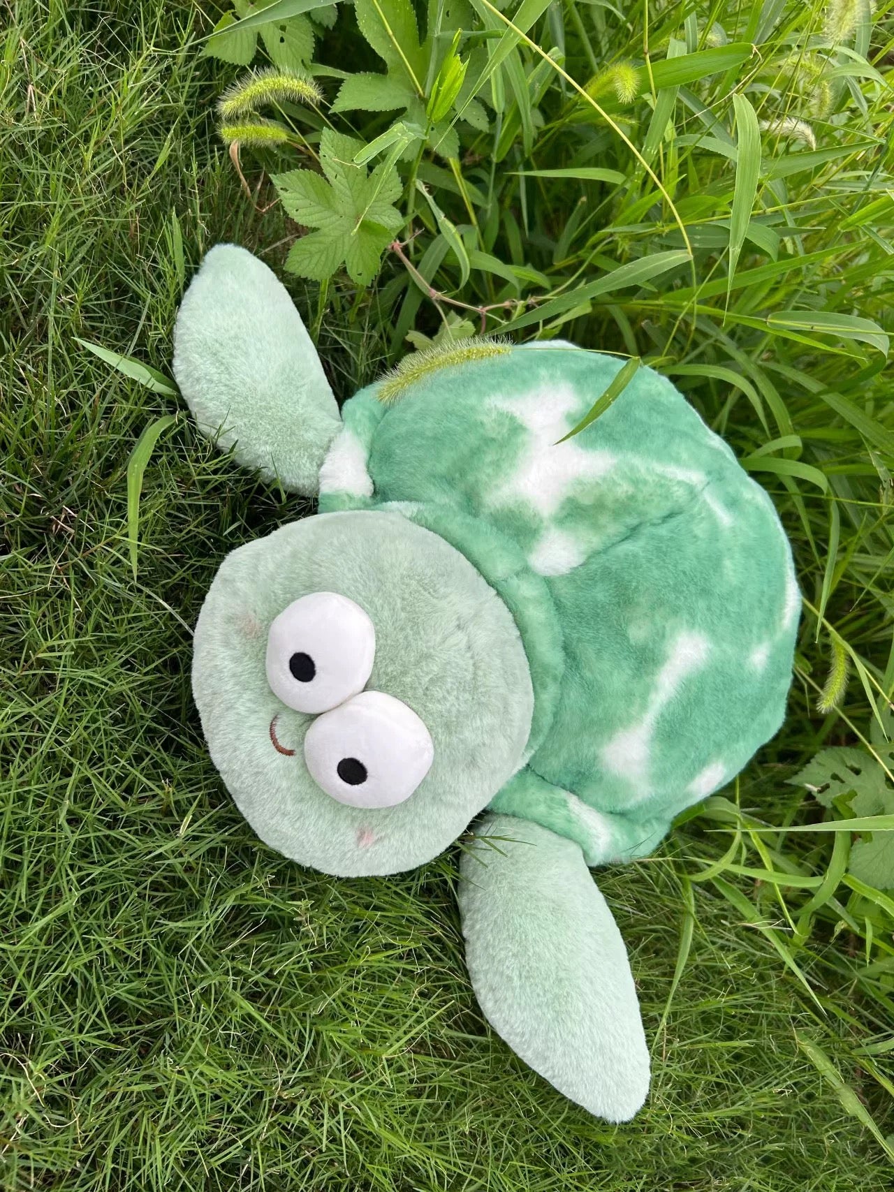 Turtle ๐ข