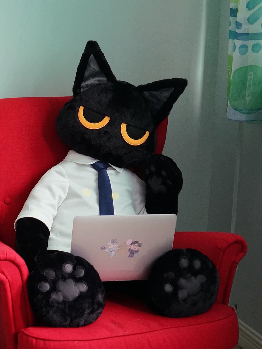 Big black cat๐โโฌ