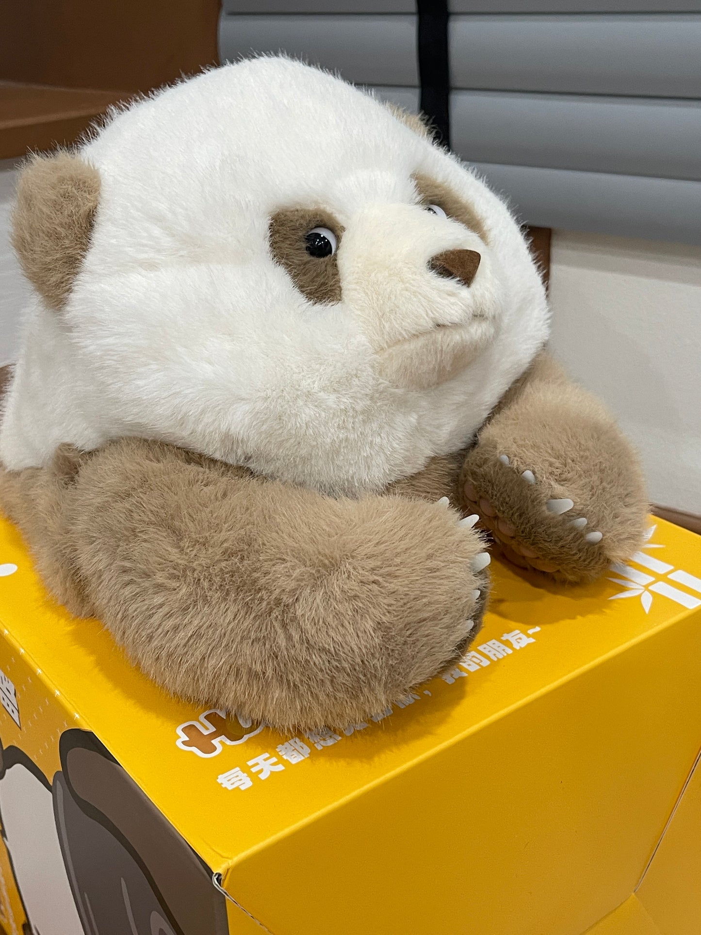 🤎Brown panda 🐼