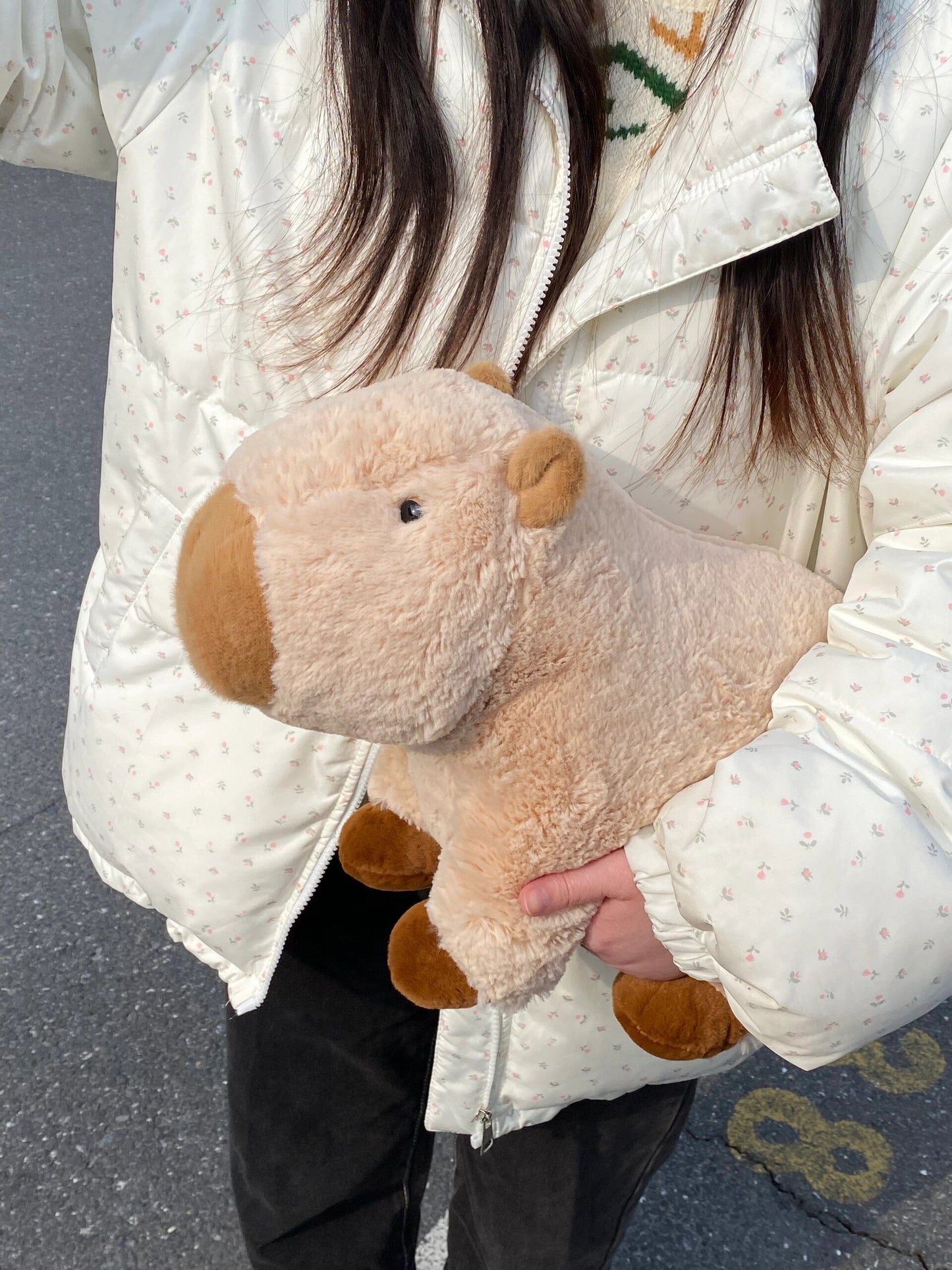 Cute capybara💕