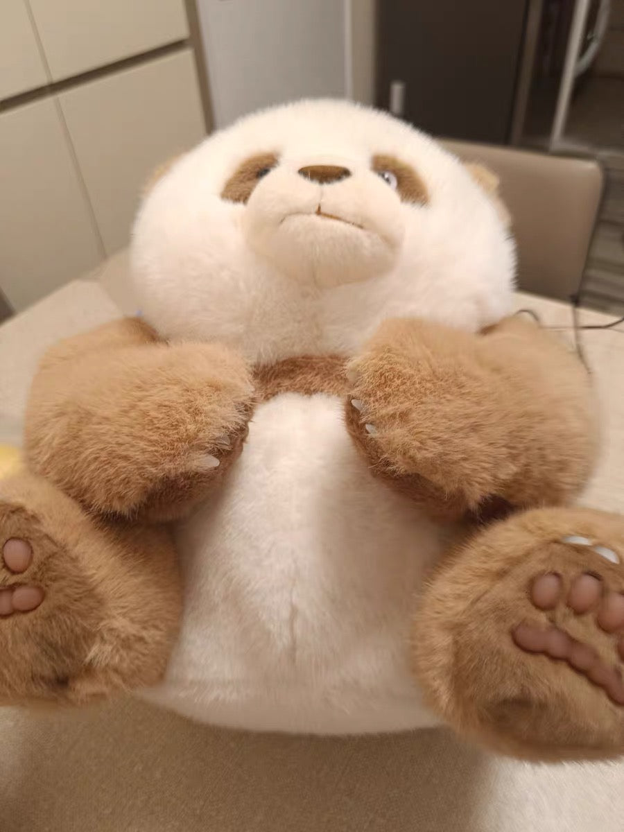 🤎Brown panda 🐼