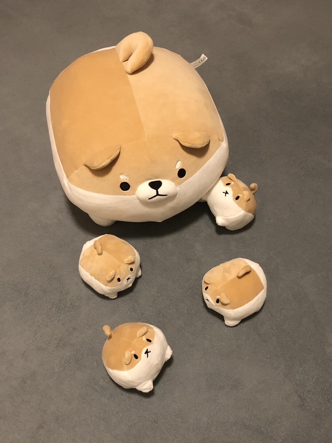 Mother Shiba and her baby