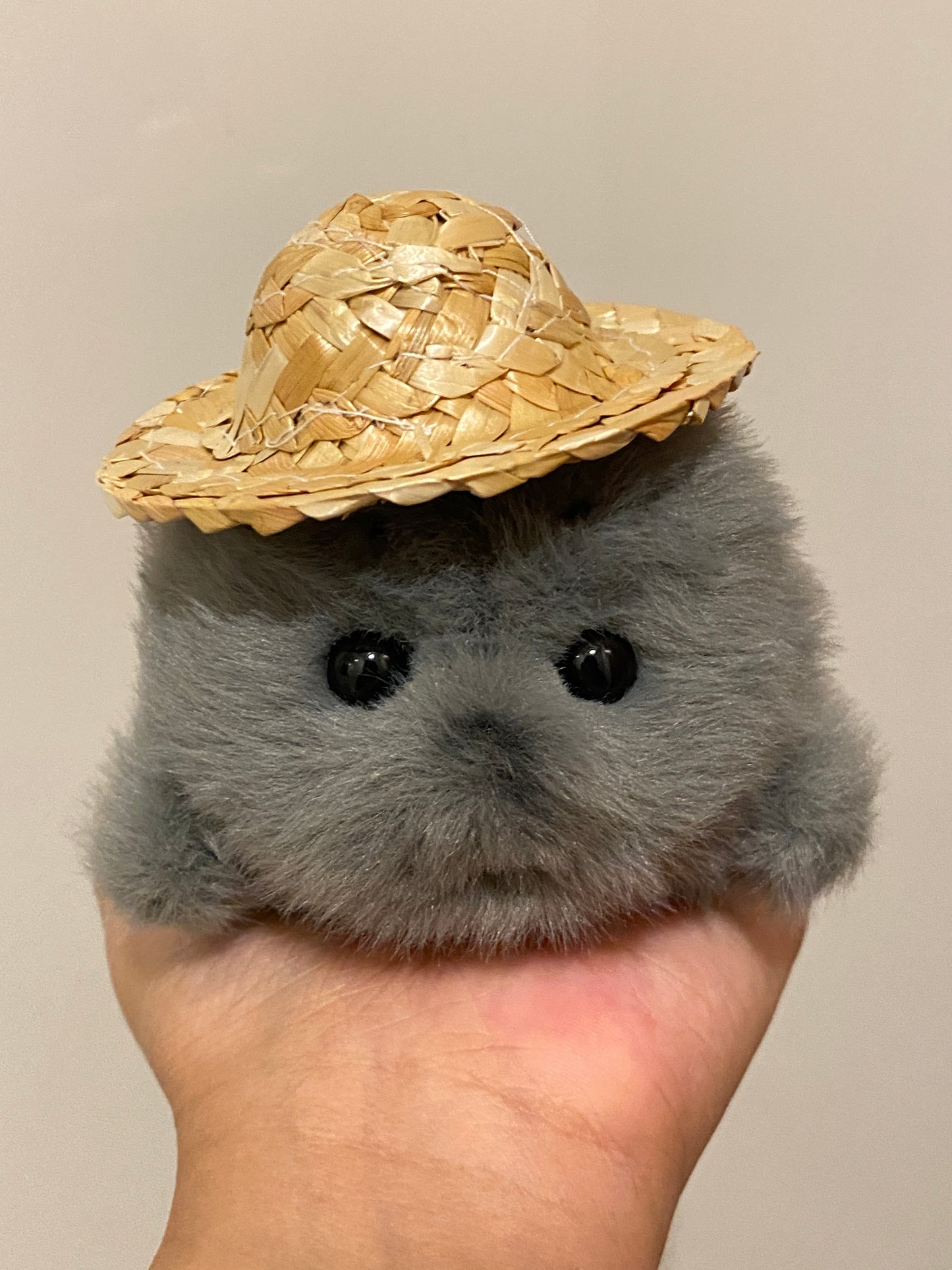 Mini seals 🦭🩶🤍