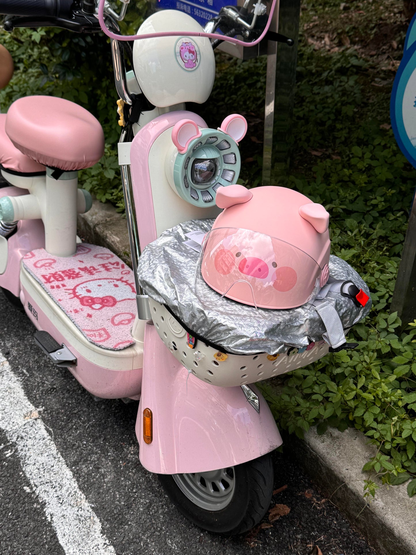 π½π·π Pig pattern helmet π½π·