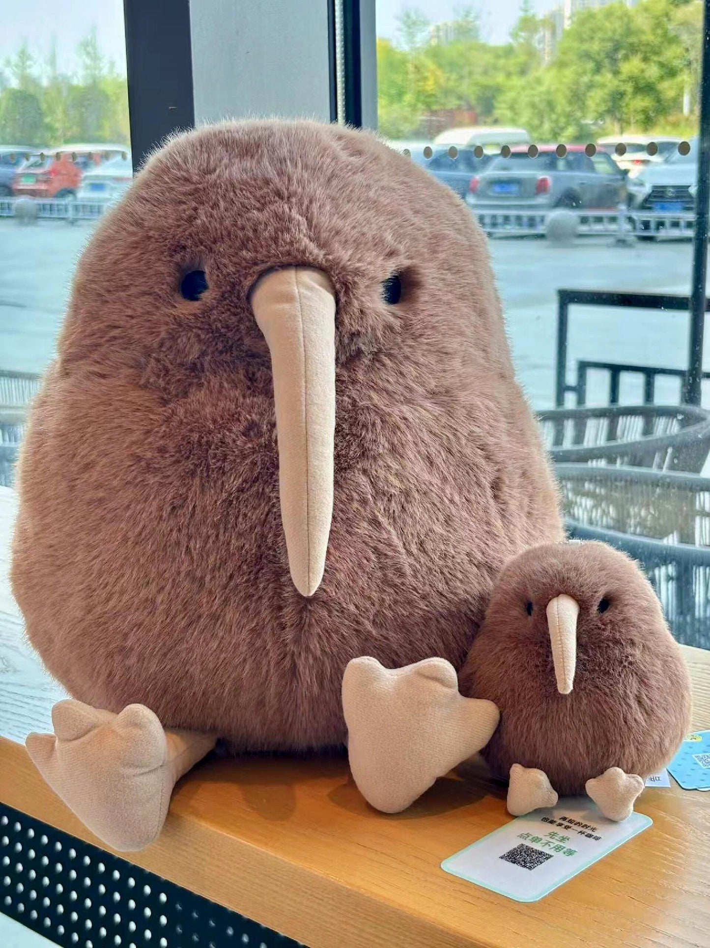 Kiwi bird🥝