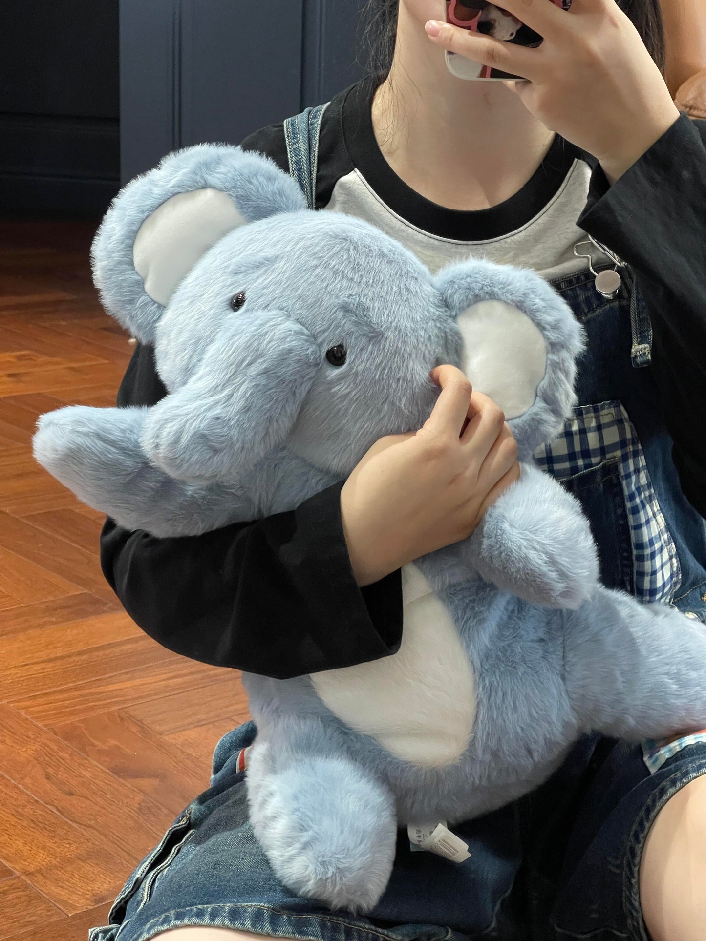 Elephant π & Koala π¨
