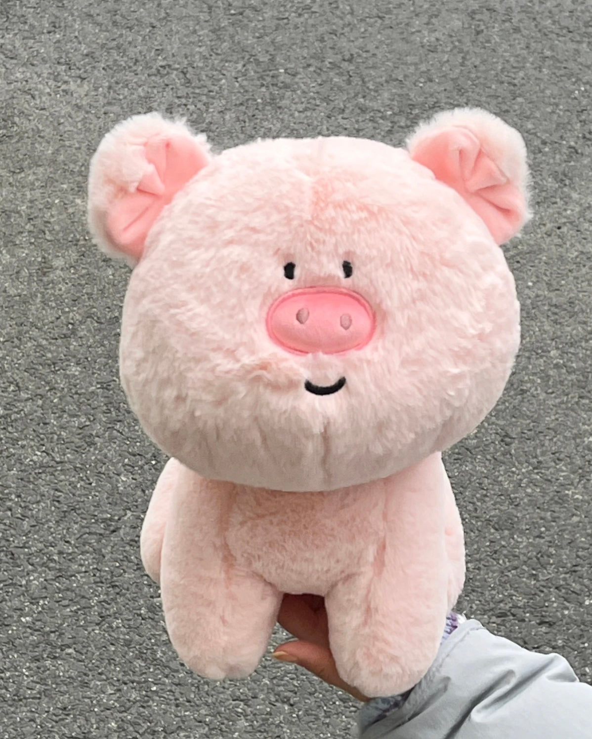 Pig π·π½
