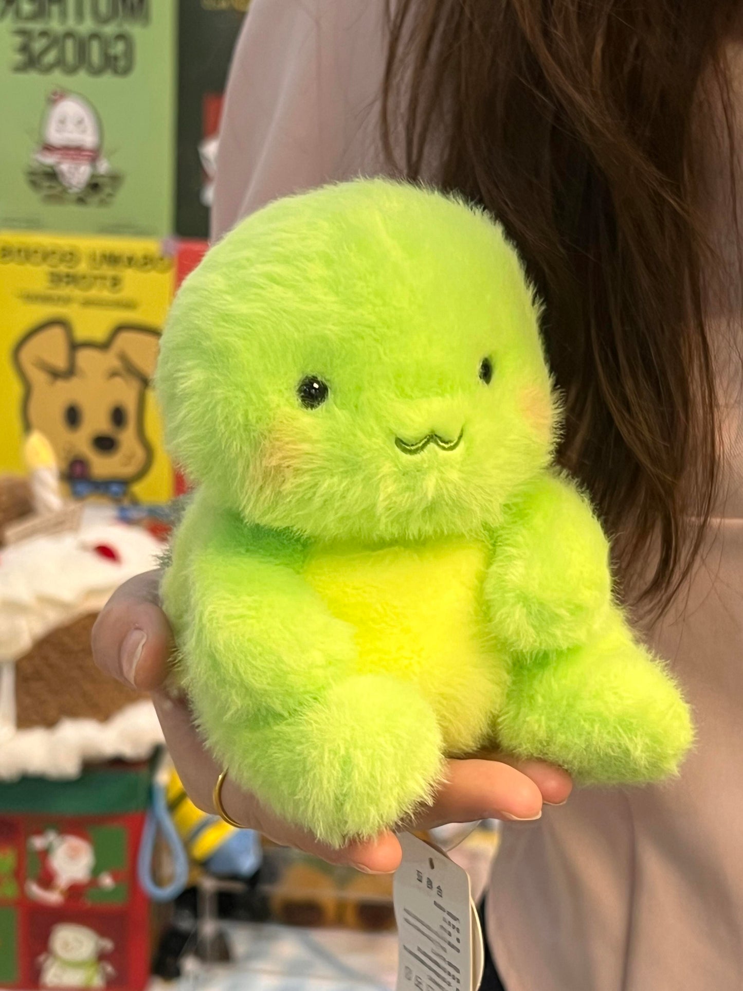 Turtle🐢