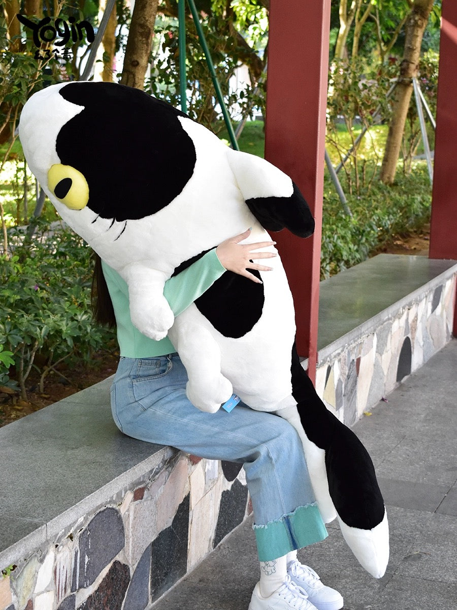 Shark ๐ฆ