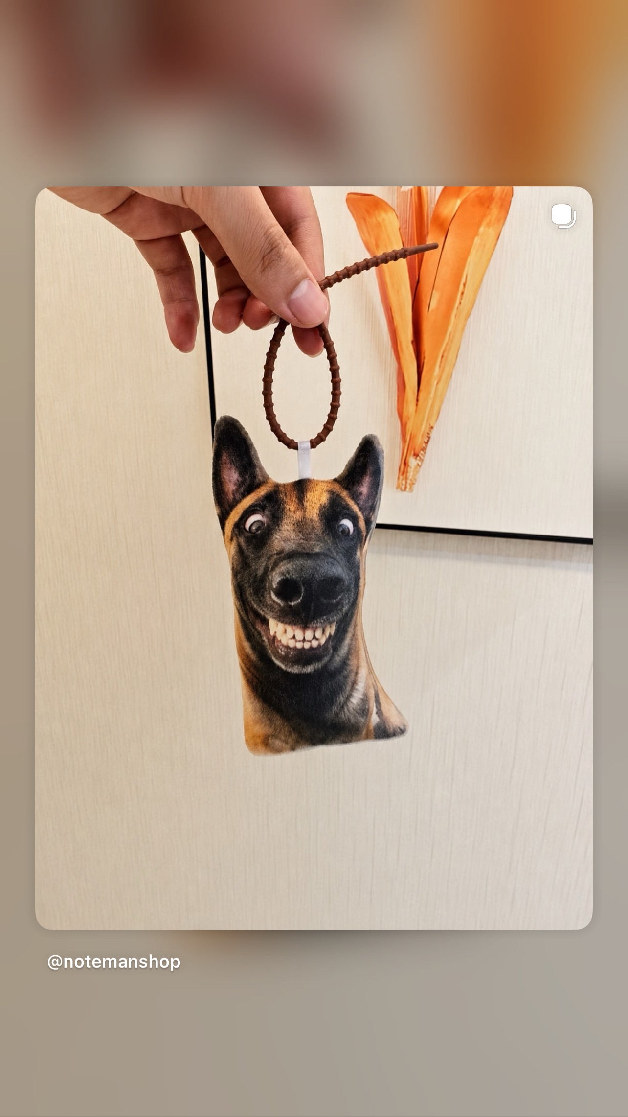 Dog Keychain