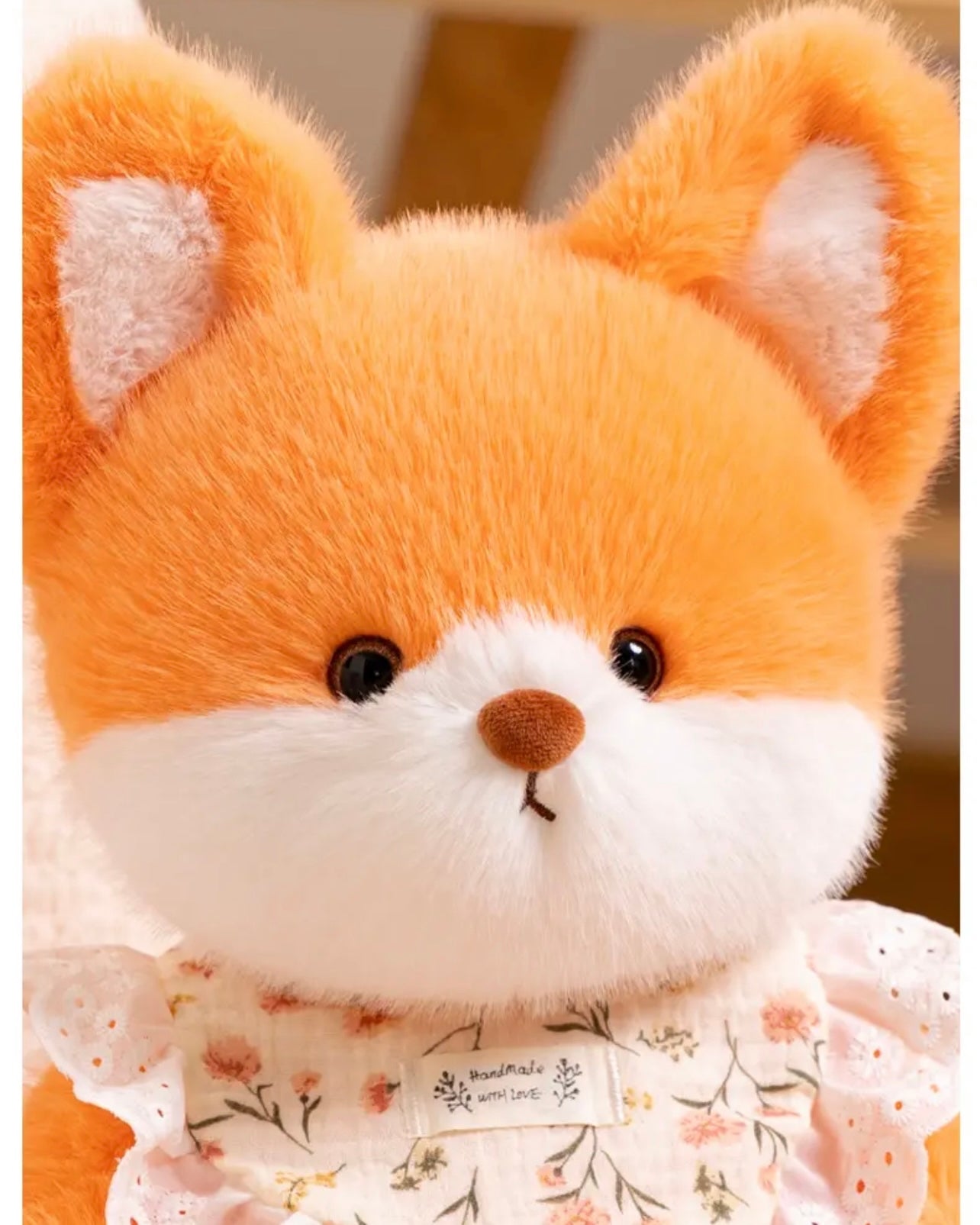 Orange fox π¦